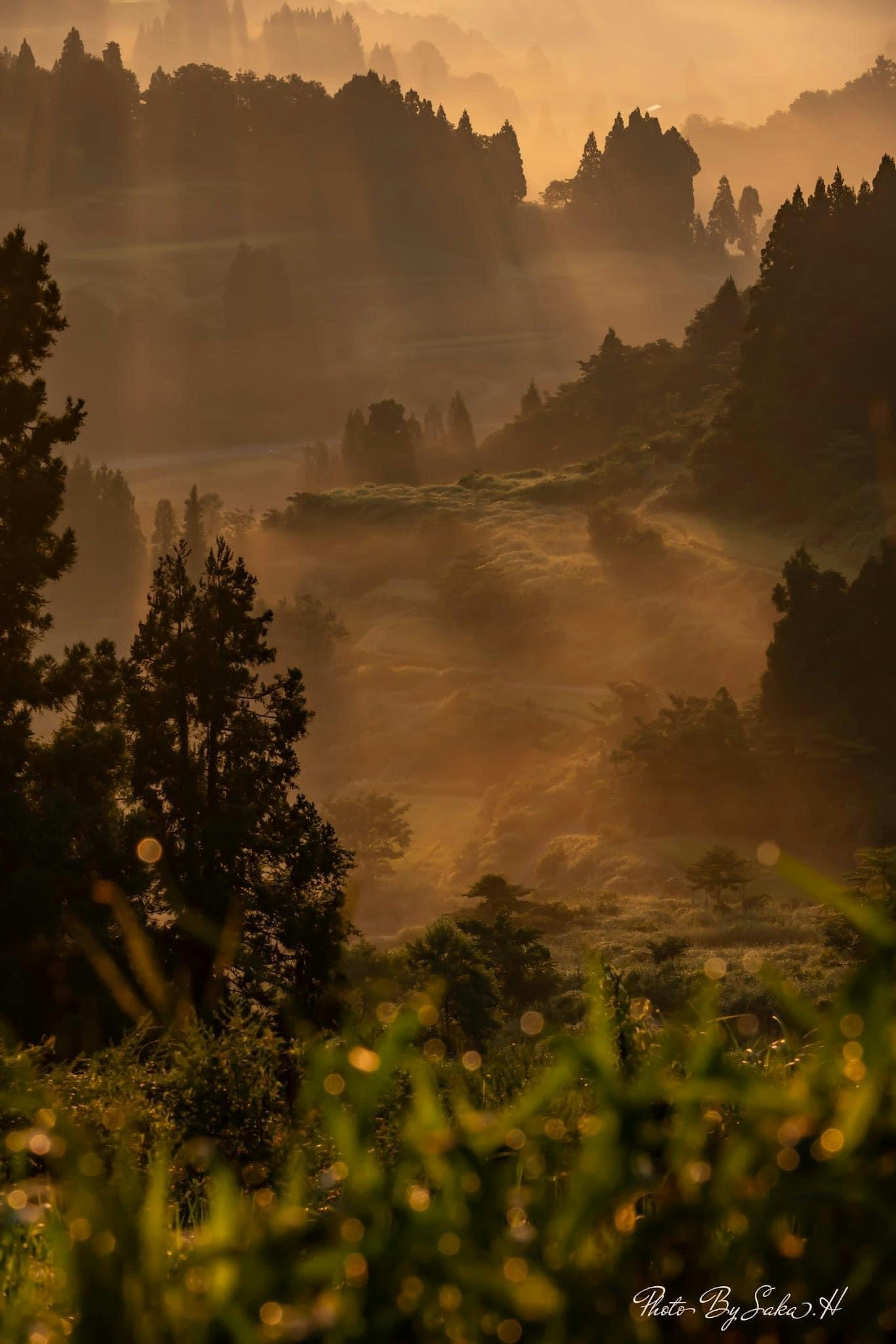 Montagne nebbiose con la luce del sole che filtra in un paesaggio bellissimo