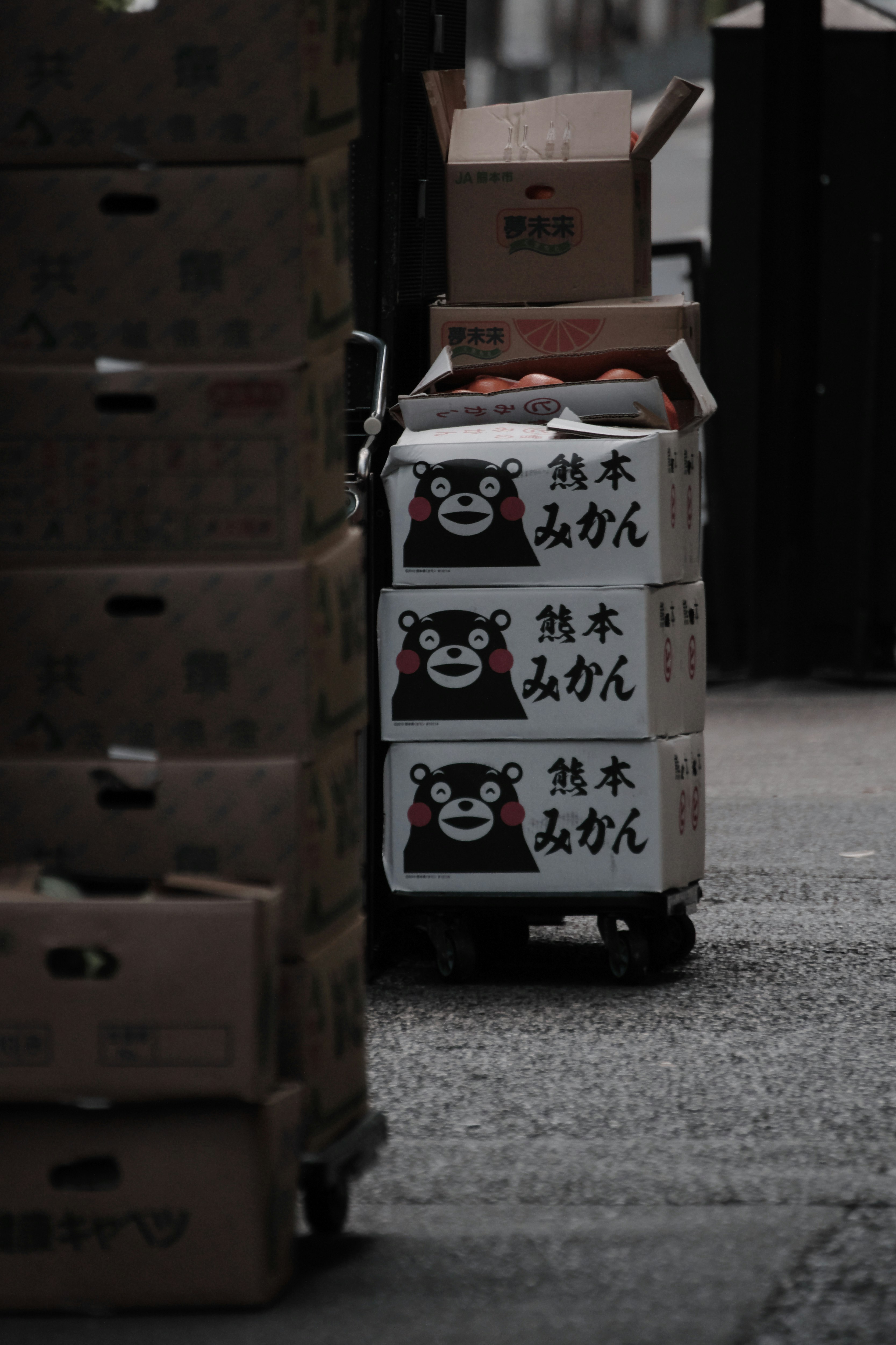 Boxes stacked in a street featuring a bear-themed design
