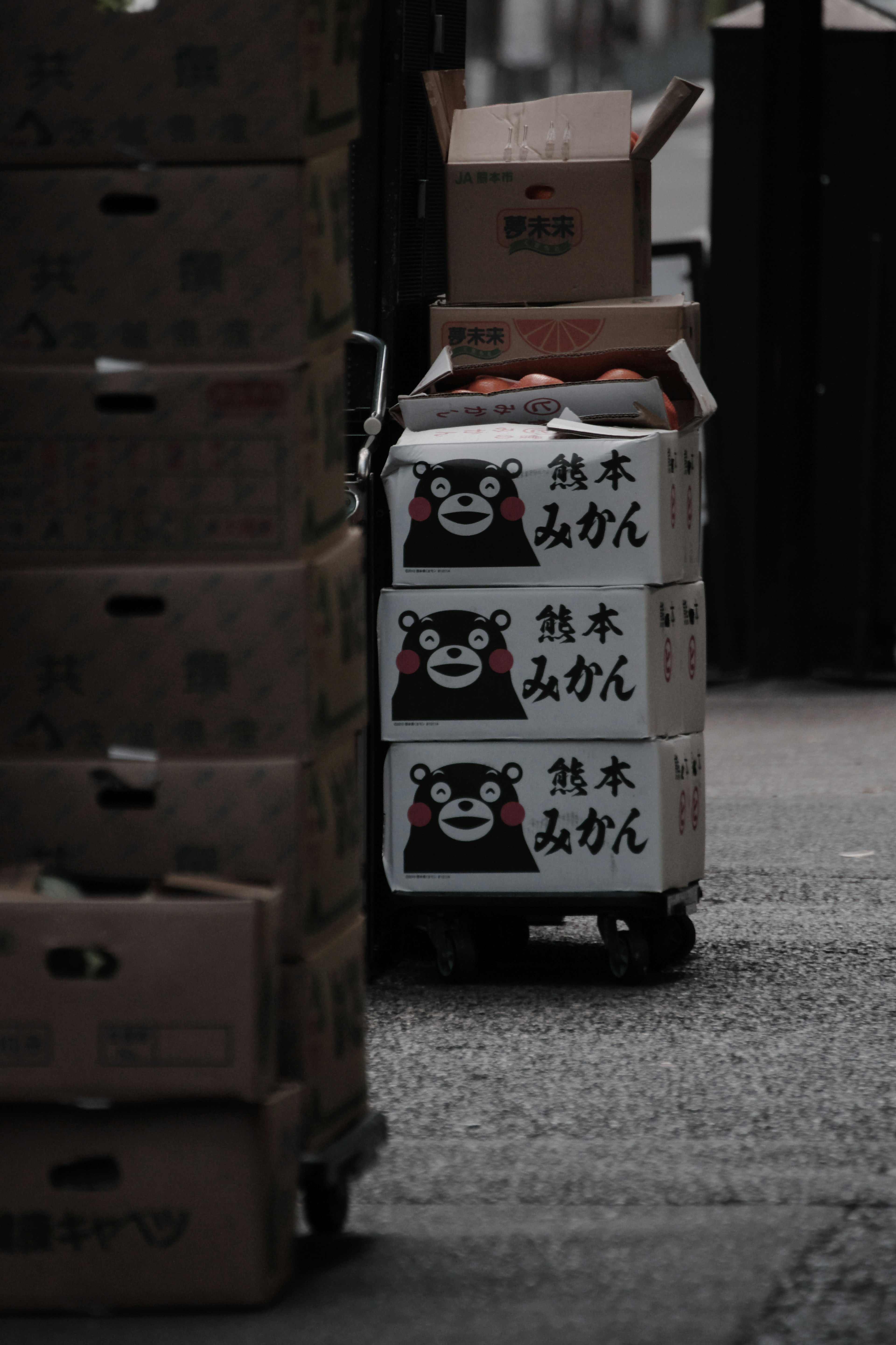 Boxes stacked in a street featuring a bear-themed design