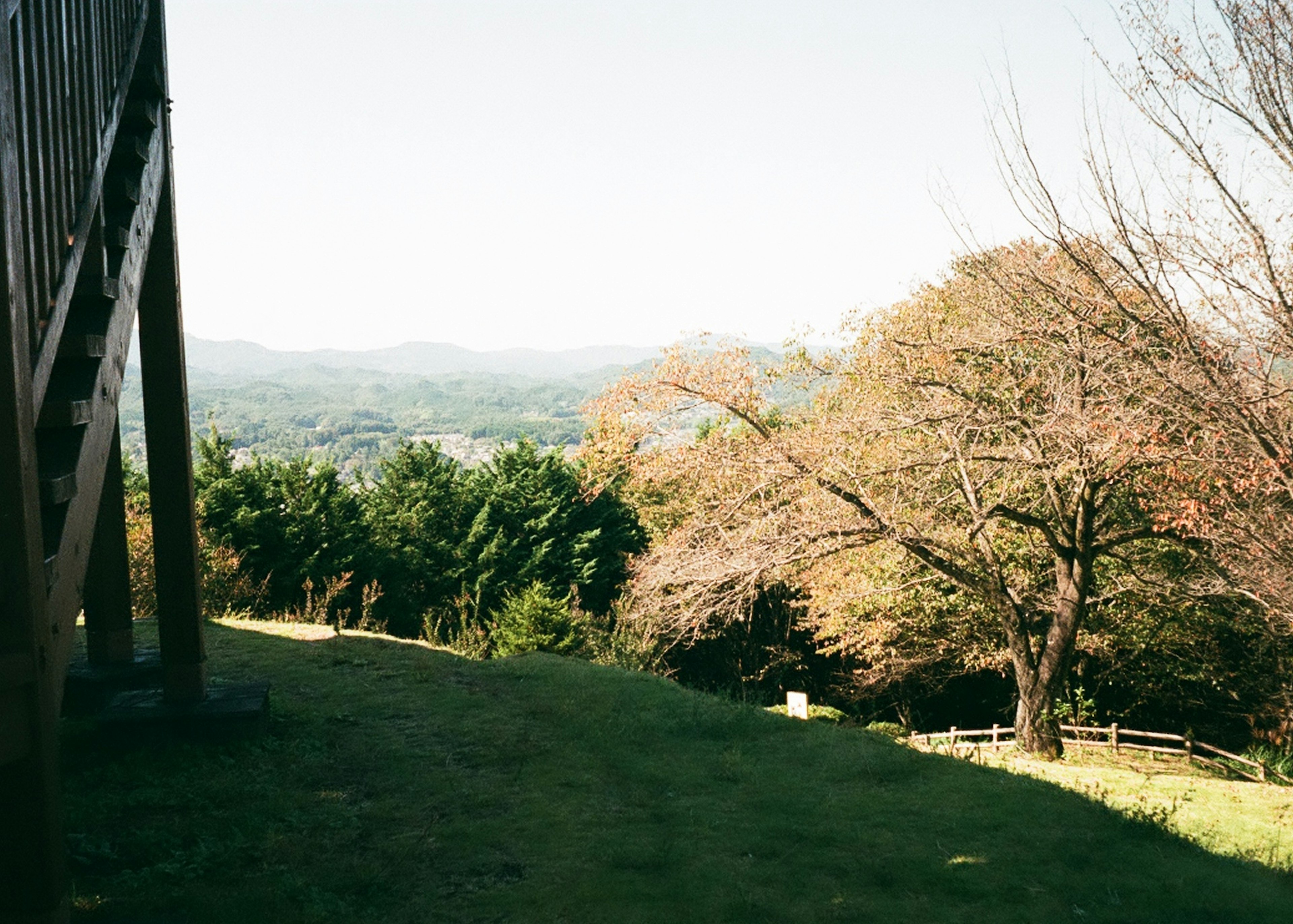 View from a hillside with autumn foliage and distant mountains