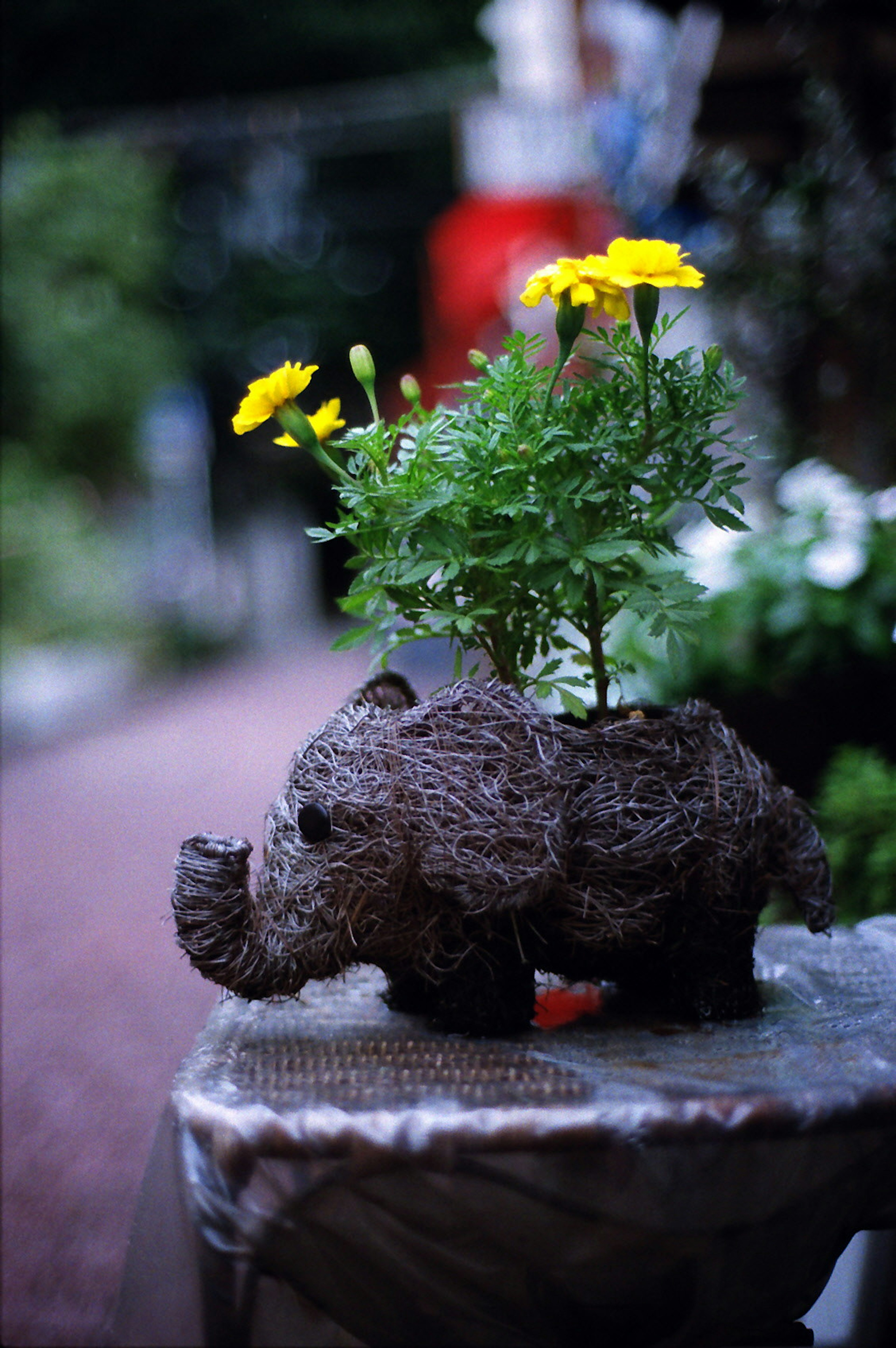 Maceta en forma de elefante con flores amarillas