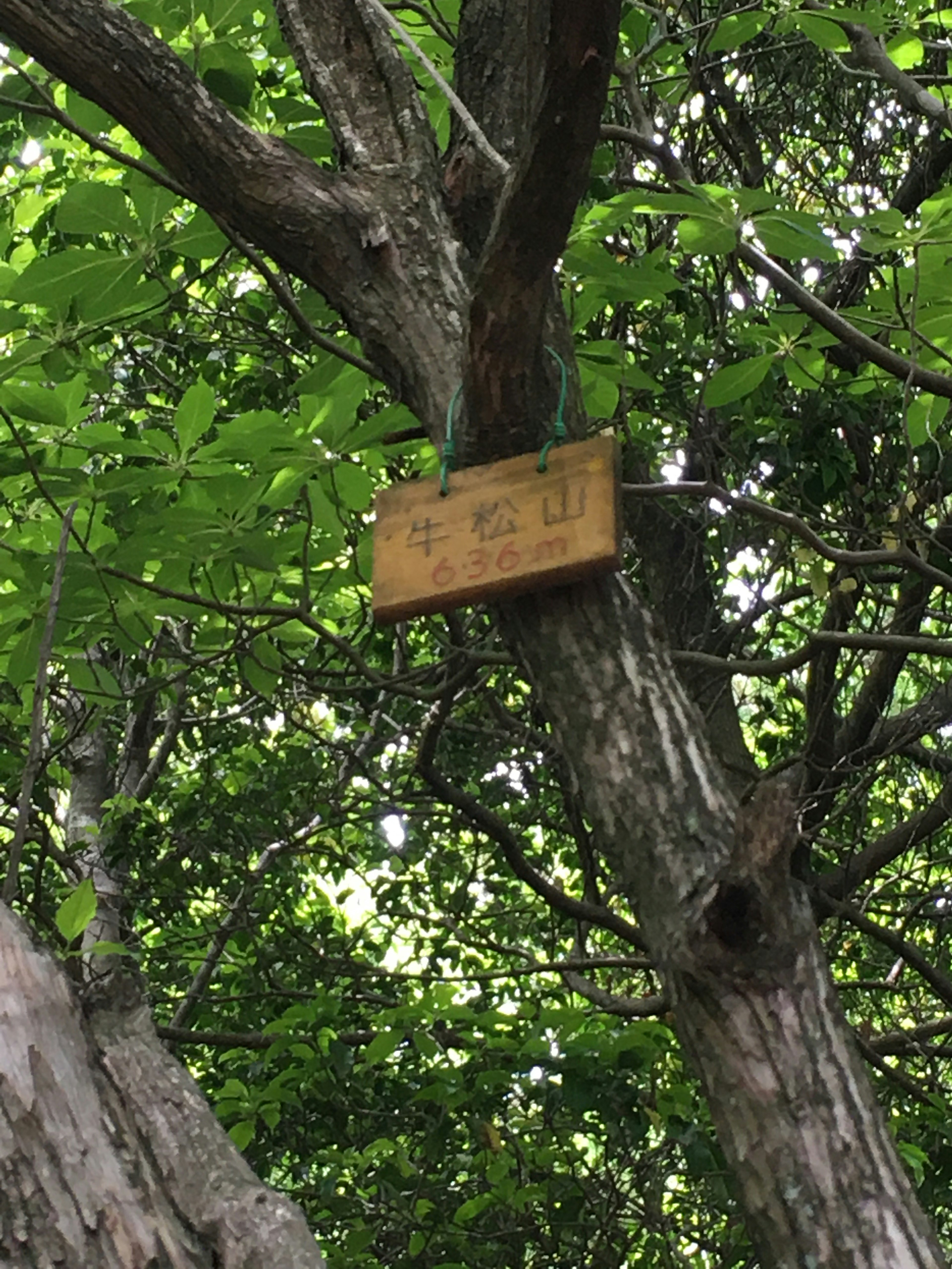 Wooden sign hanging from a tree branch with lush green leaves in the background