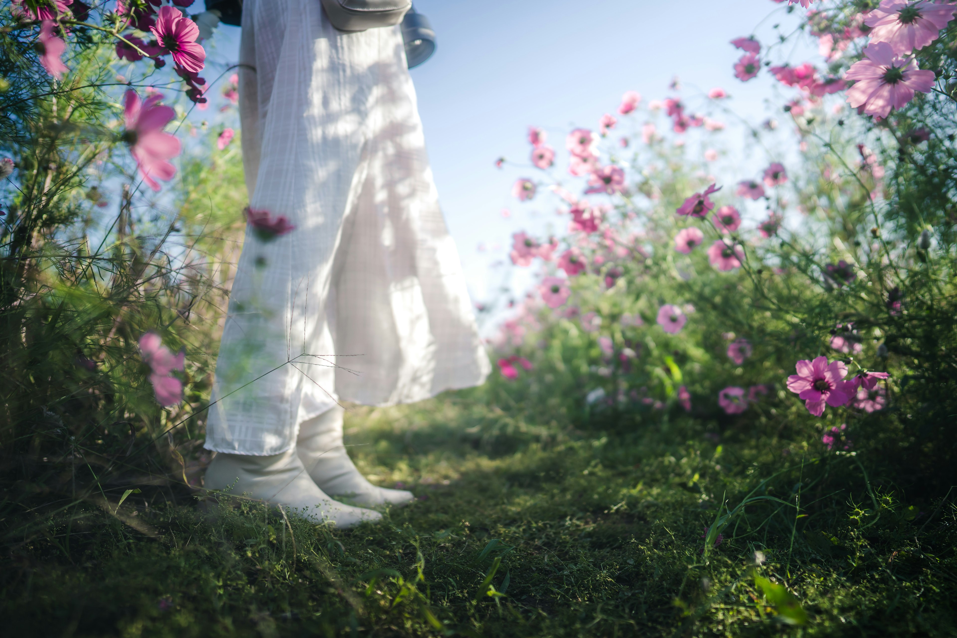 白いブーツを履いた人物が花に囲まれた道を歩く風景