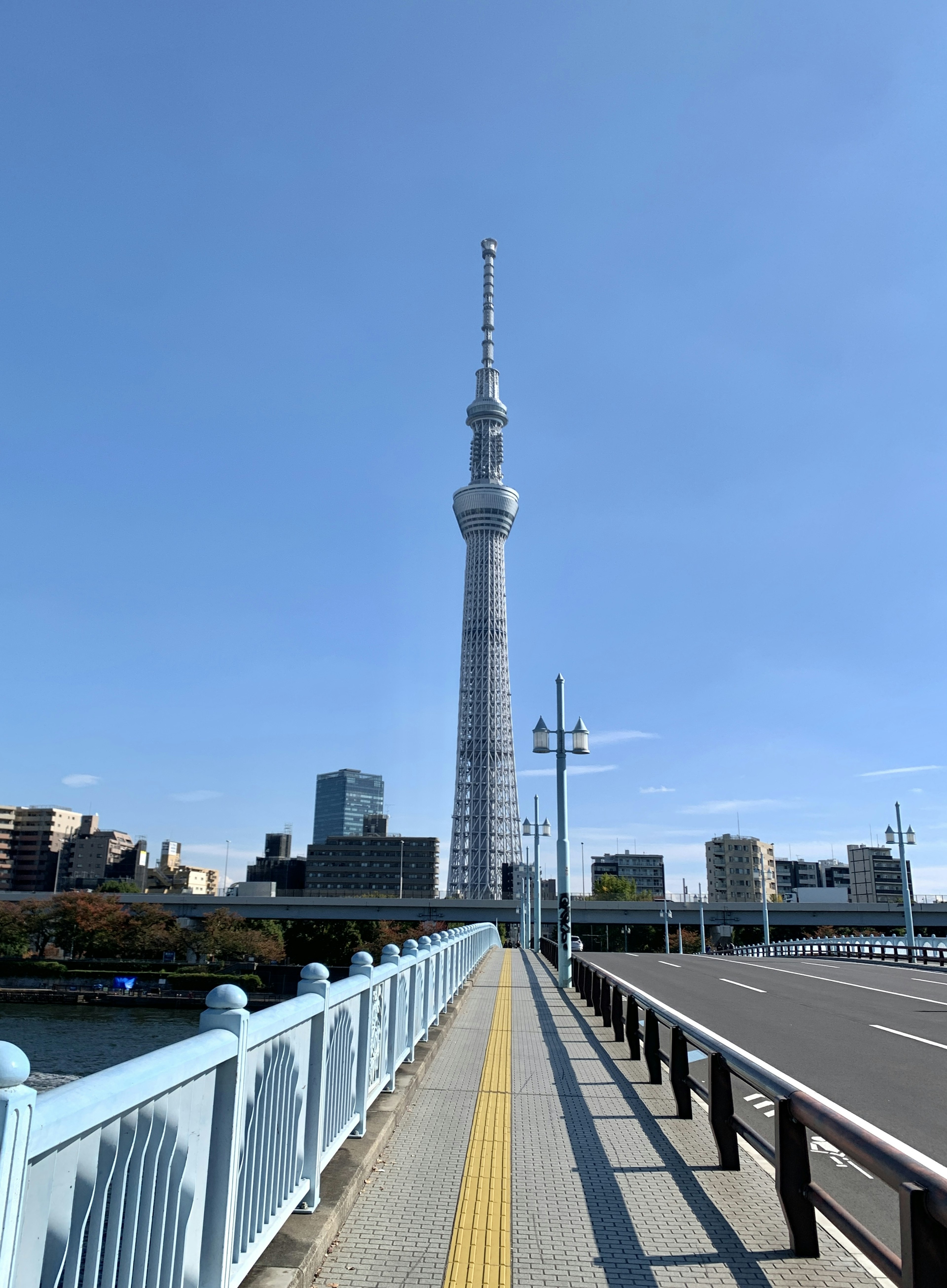 Vista della Tokyo Skytree da un ponte