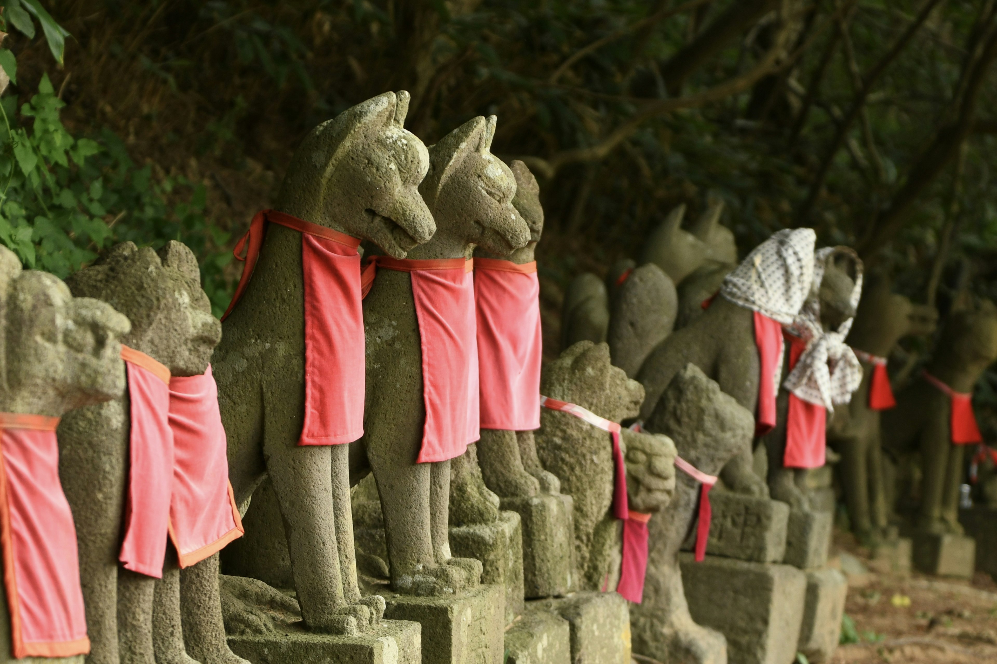 Statues de chiens en pierre portant des écharpes rouges disposées dans un sanctuaire