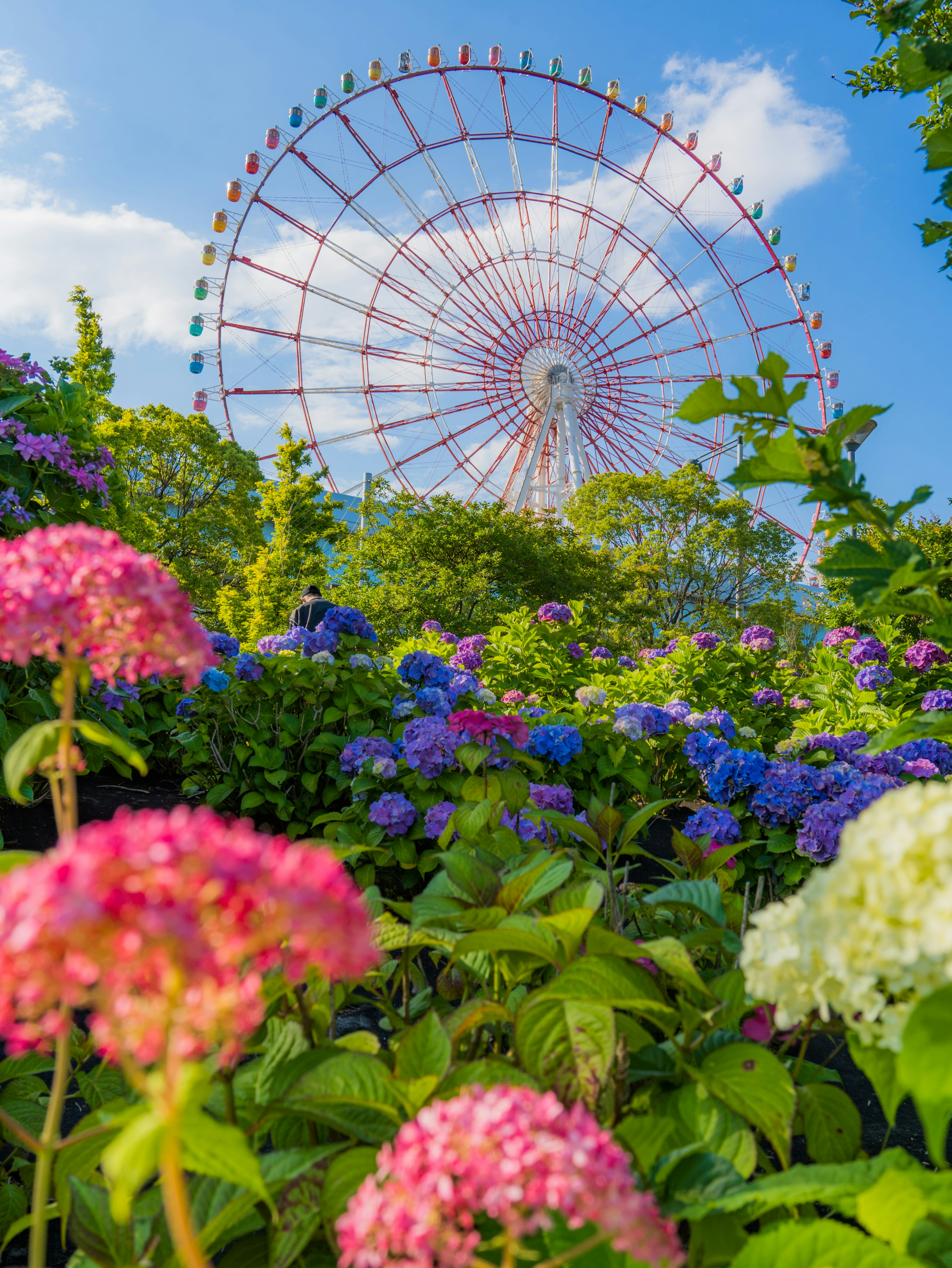 色とりどりの花々と観覧車の美しい風景