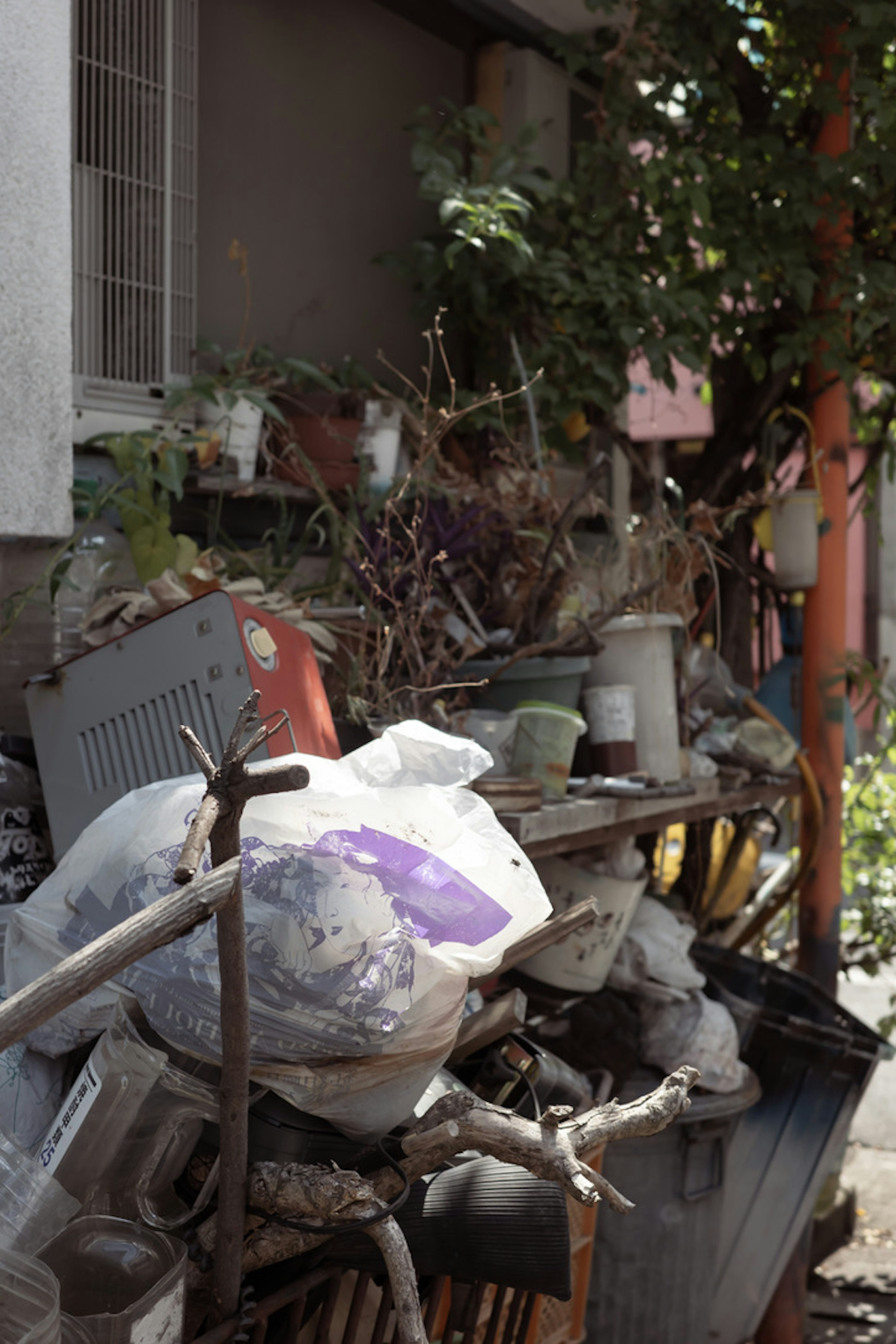 Outdoor scene with piled trash and plants