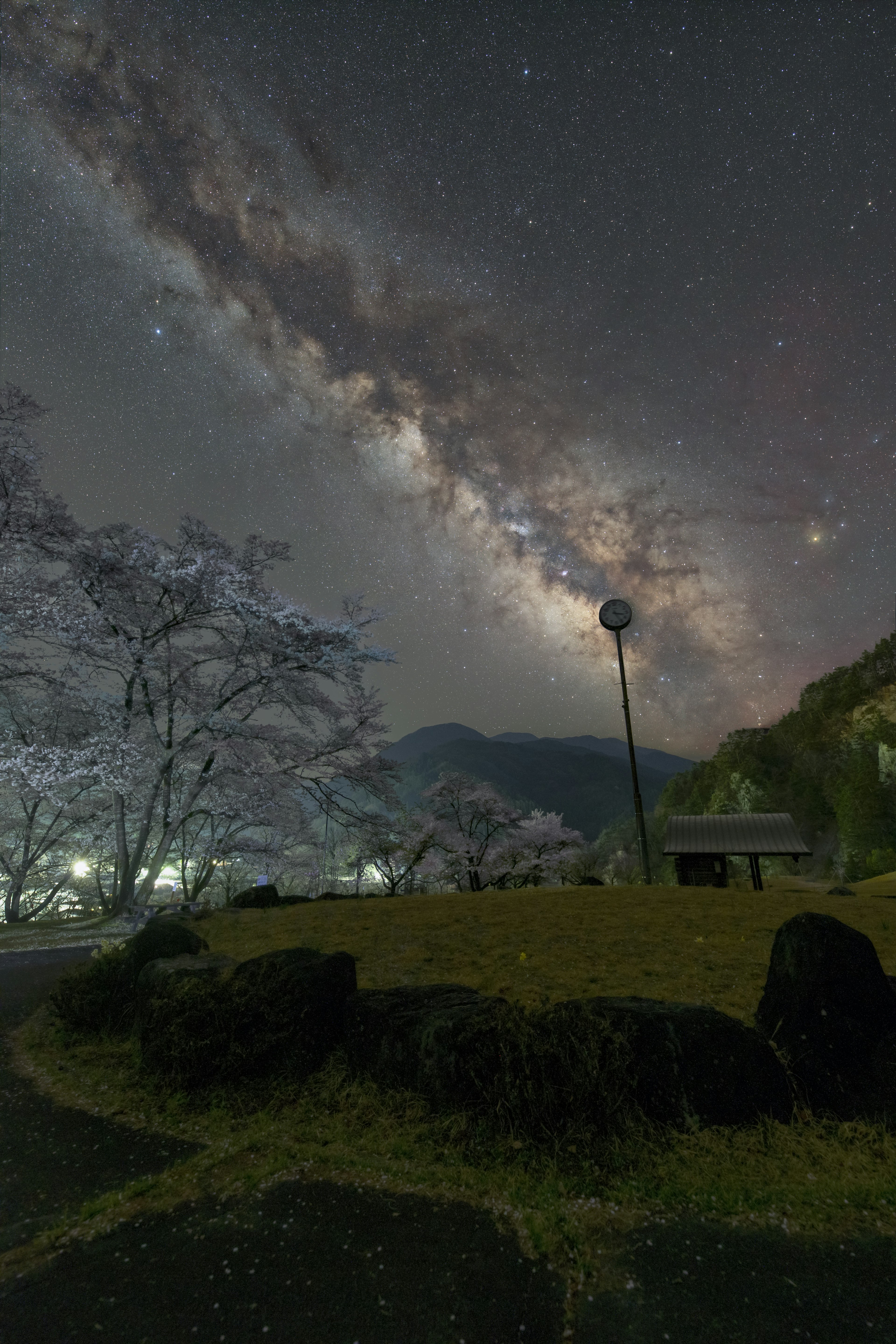 美丽的银河在星空下，背景是樱花树和山脉