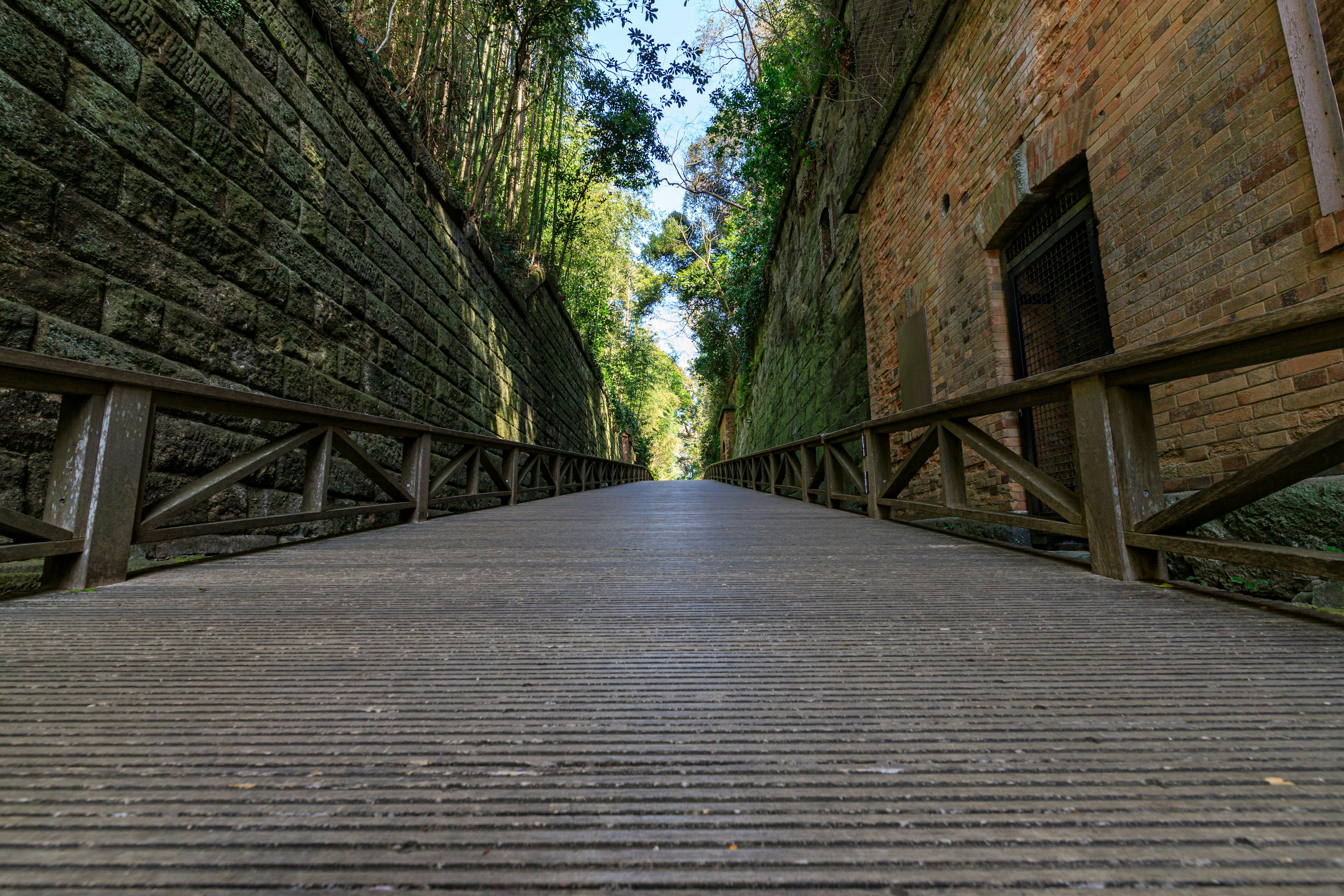 Narrow pathway with wooden bridge surrounded by greenery