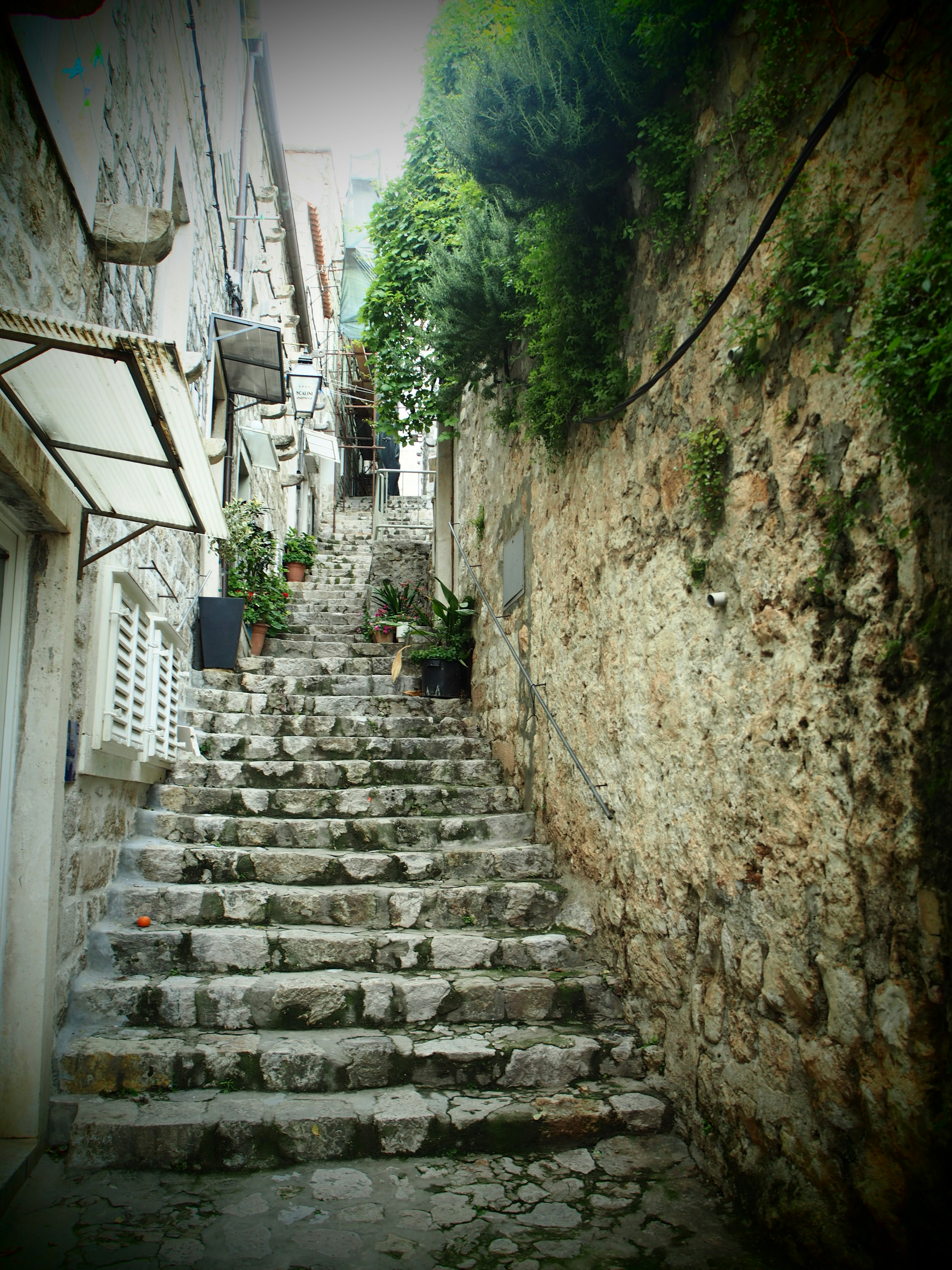 Escalera de piedra estrecha en un callejón histórico con vegetación