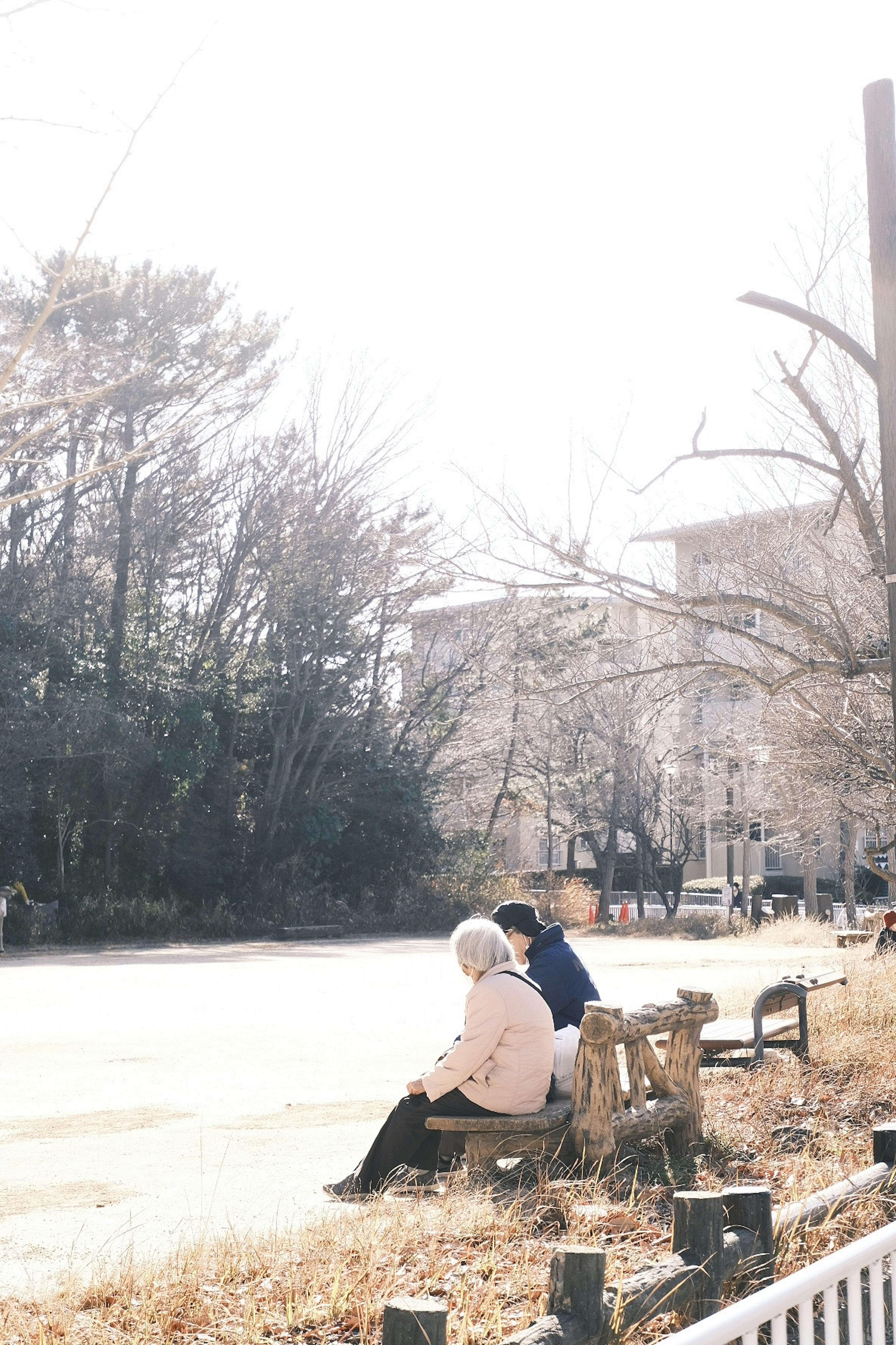 Two elderly people sitting on a park bench surrounded by trees