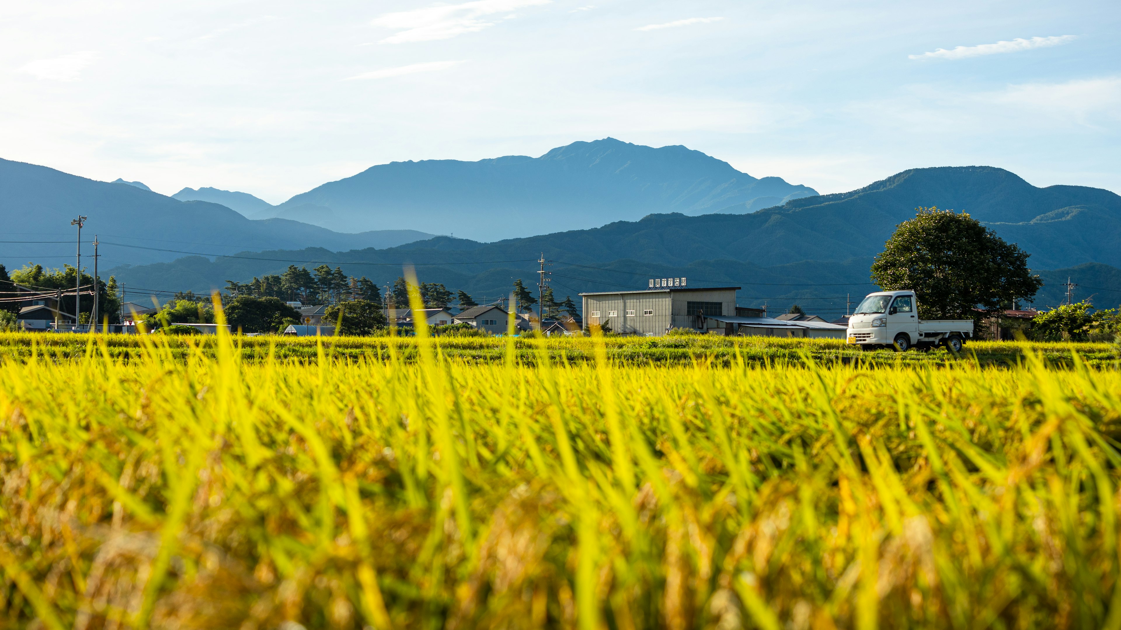 美しい田んぼと山の風景が広がる風景