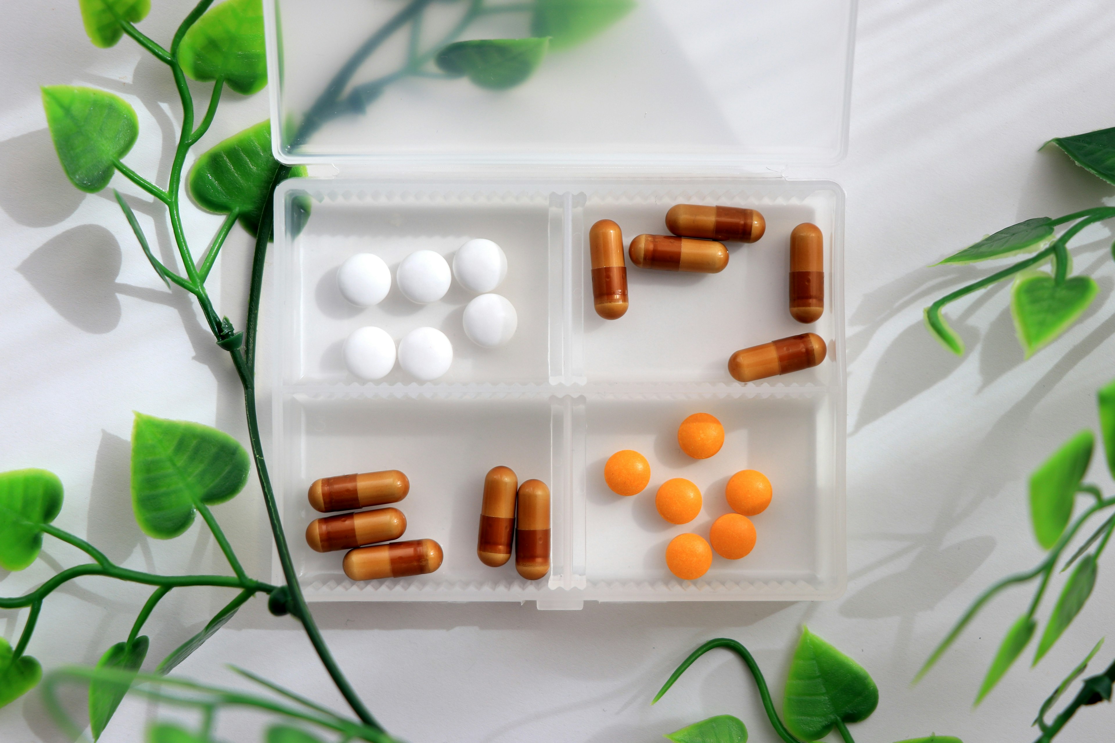 Una caja de pastillas transparente dividida con tabletas blancas y pastillas naranjas rodeada de hojas verdes