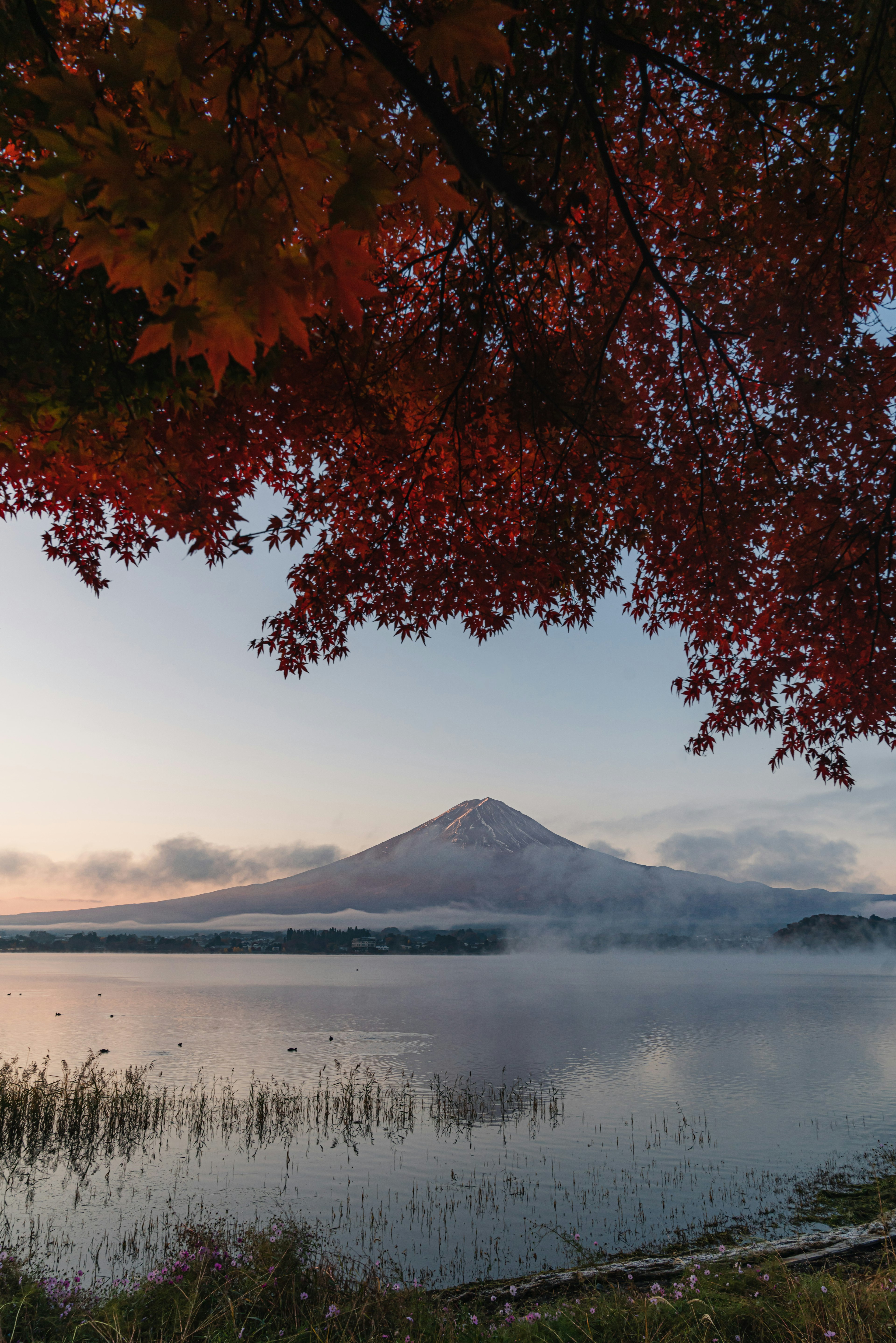 Pemandangan indah Gunung Fuji dengan daun musim gugur dan danau tenang