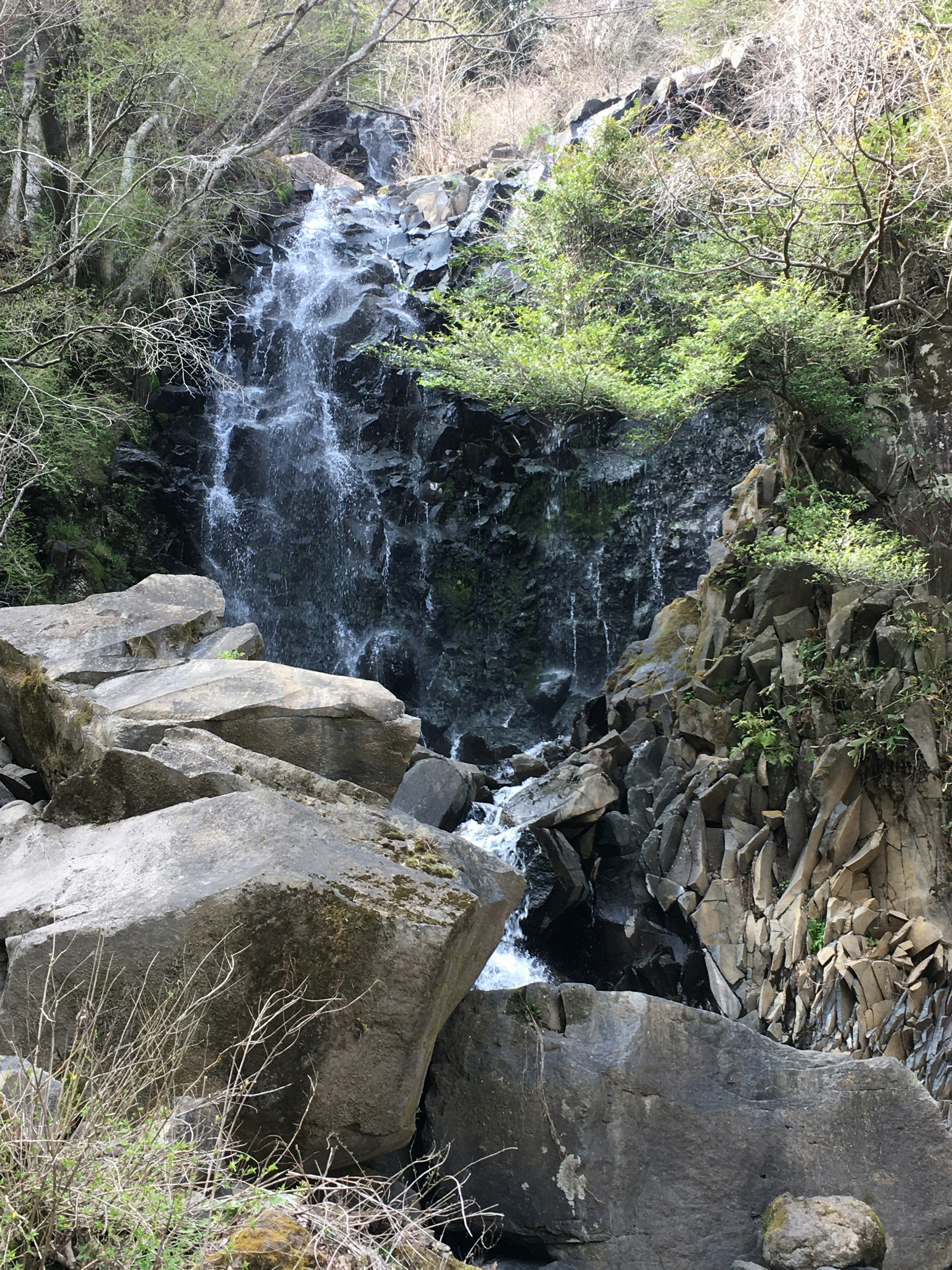 Sebuah air terjun yang indah mengalir di antara batu-batu dikelilingi oleh pepohonan hijau