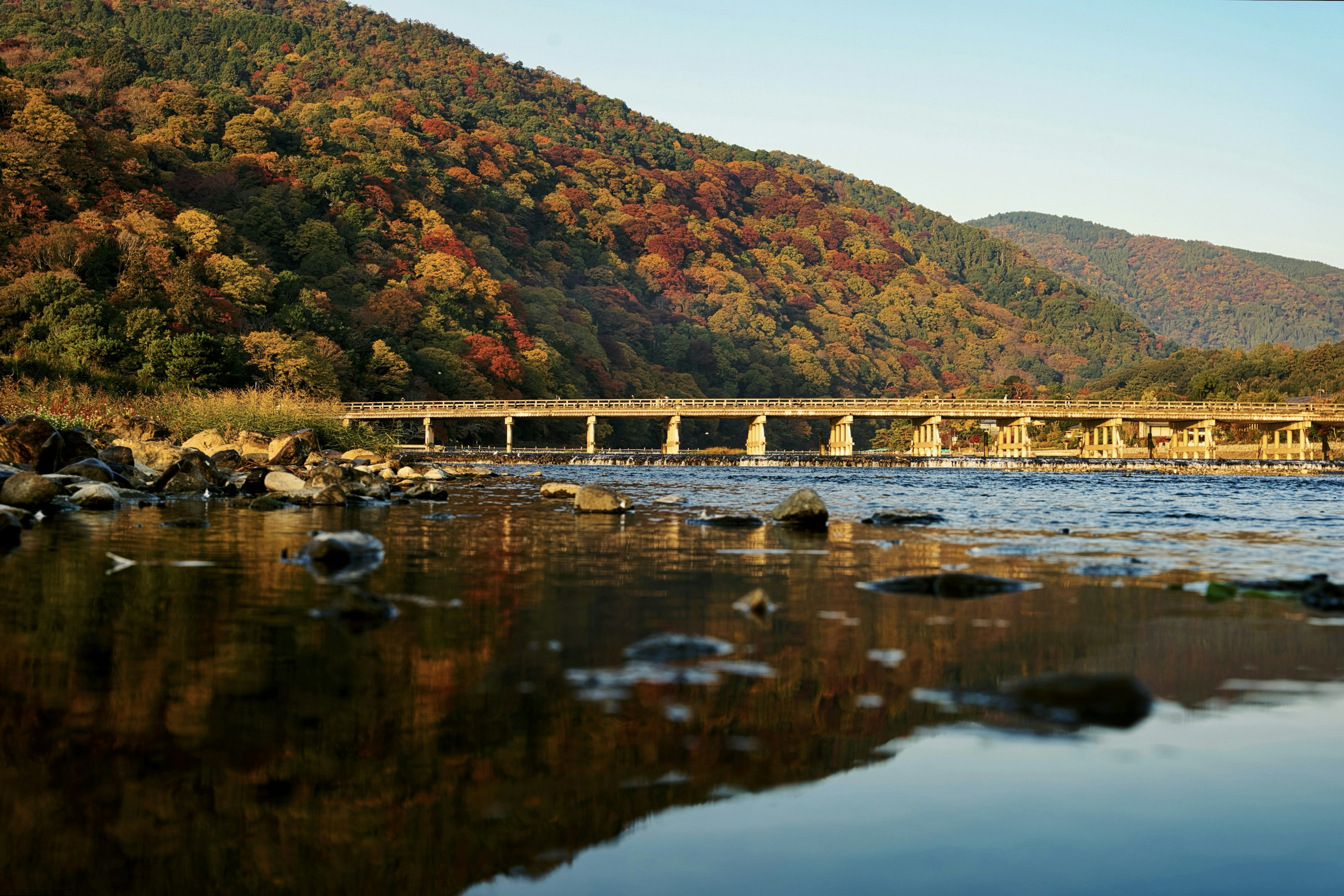 ทิวทัศน์ของสะพานข้ามแม่น้ำที่มีใบไม้เปลี่ยนสีล้อมรอบ