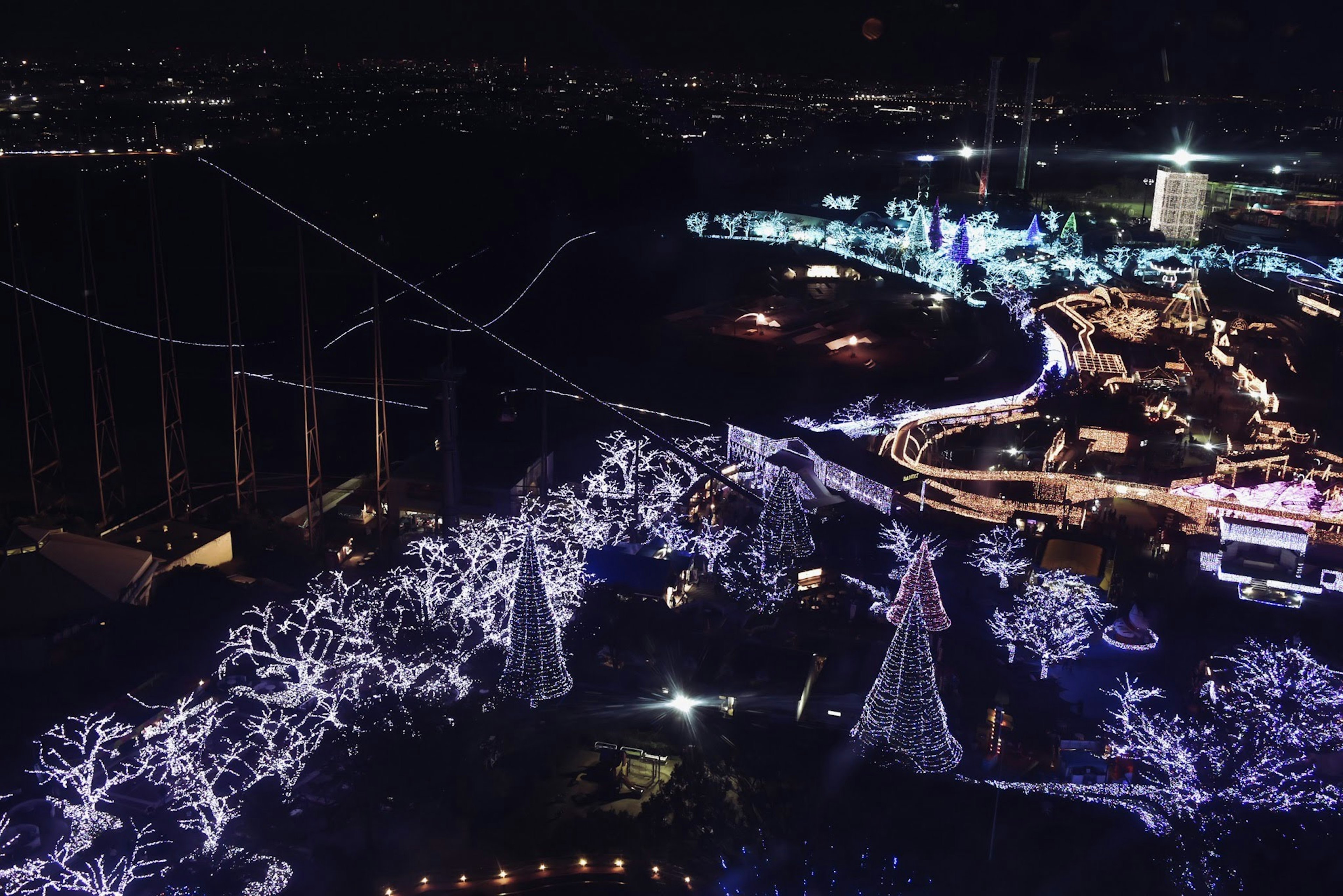 Arbres illuminés et tunnel de lumière brillants dans la vue nocturne