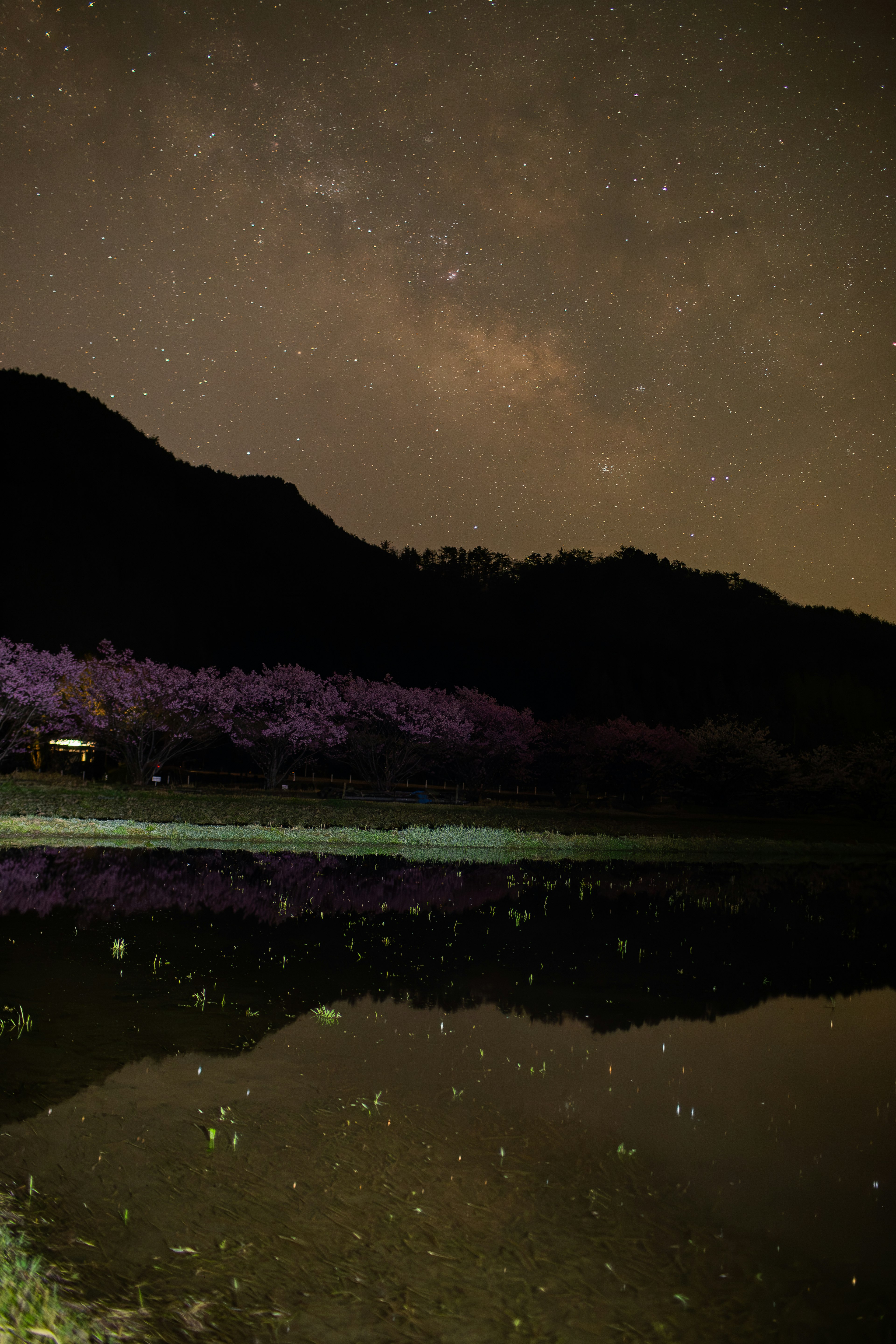 湖泊倒映星空和山脉轮廓的风景