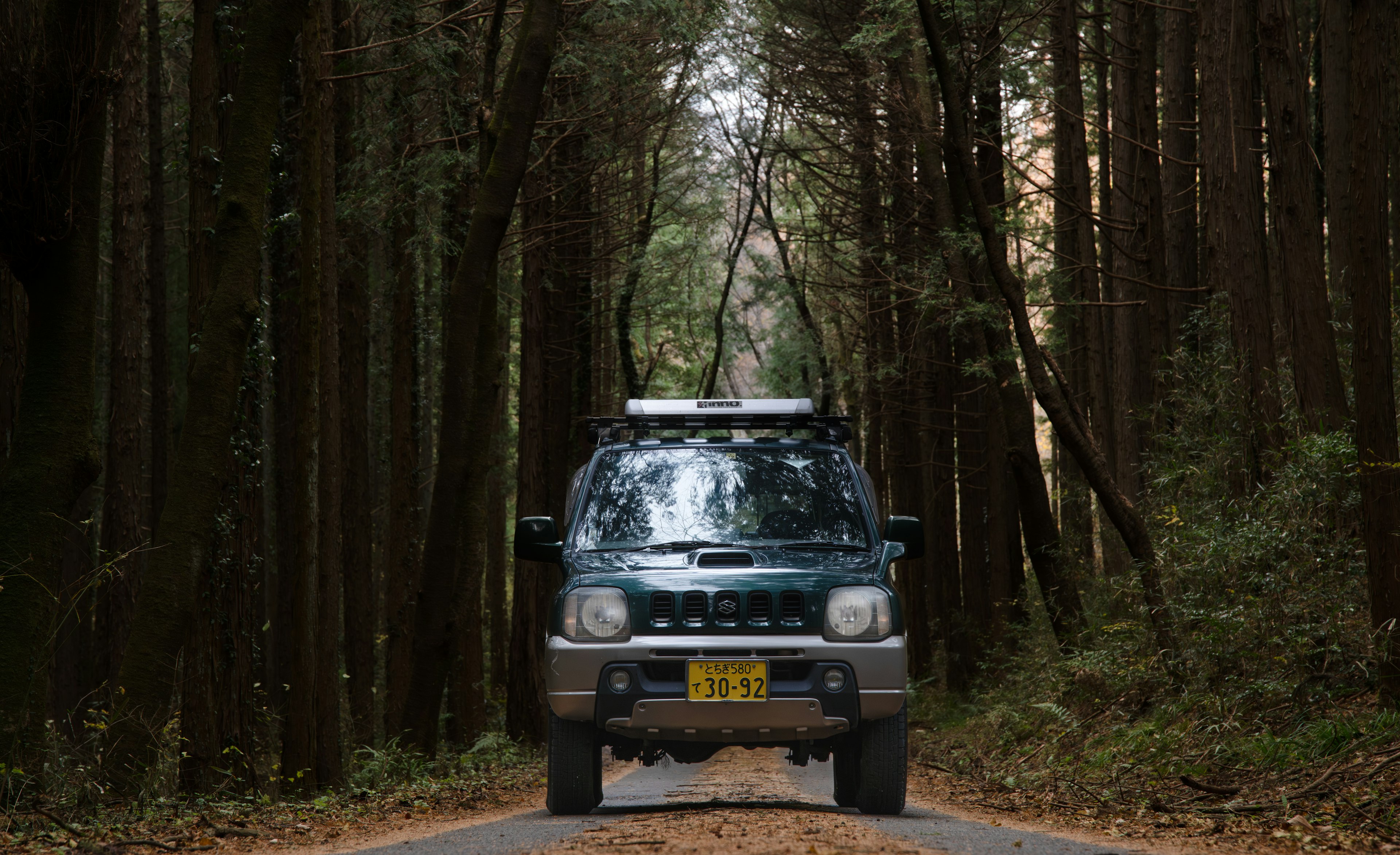 SUV verde che guida su una strada attraverso una foresta