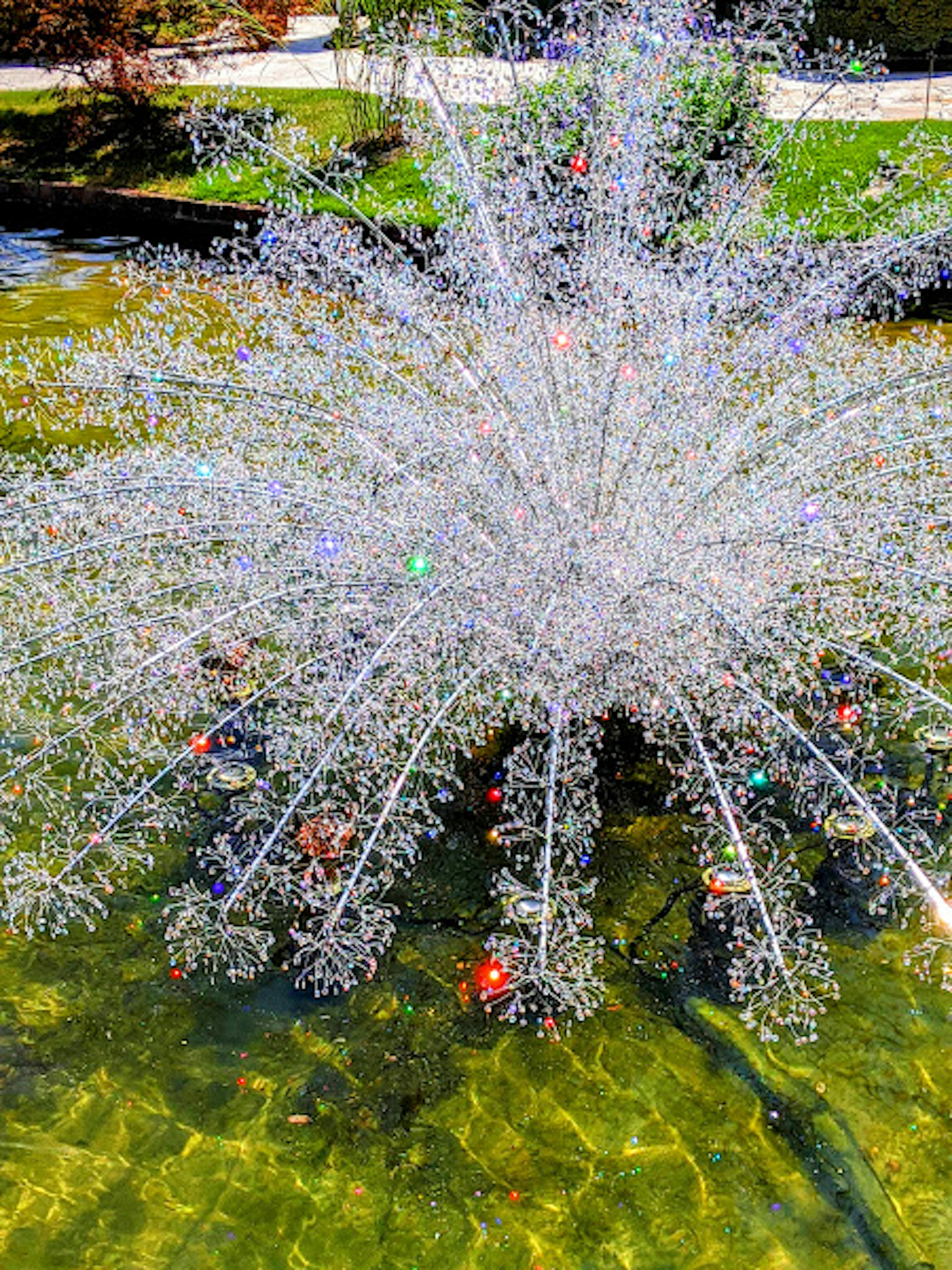 A decorative fountain with vibrant streams of water splashing in a serene pond