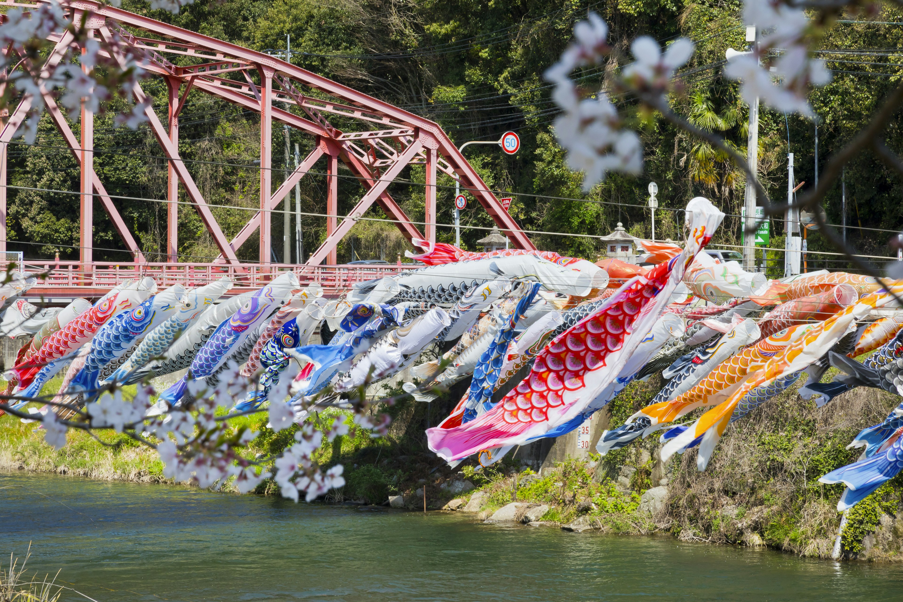 Drapeaux de koi colorés suspendus au-dessus d'un pont sur une rivière