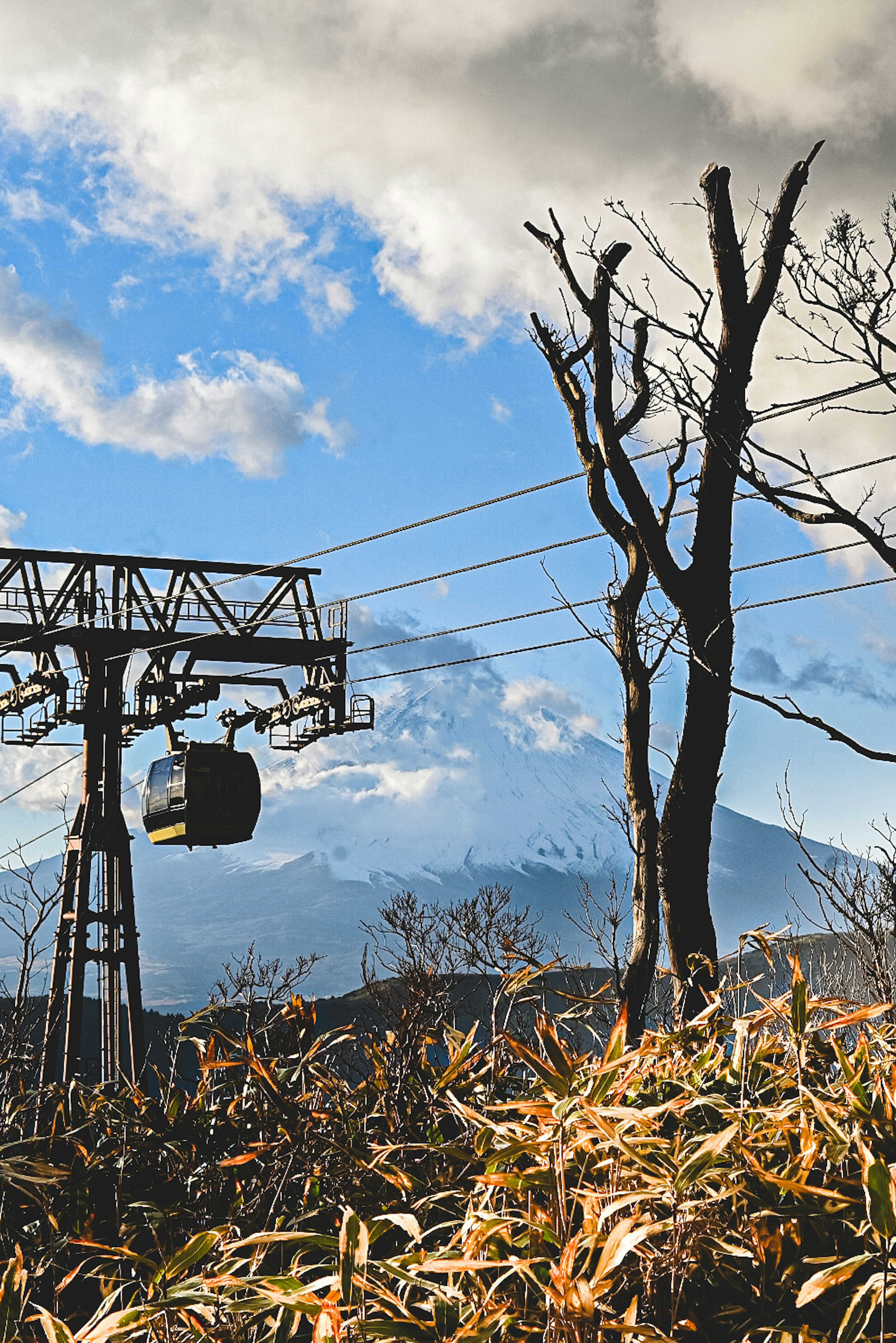 Vista panoramica di una funivia con il monte Fuji sullo sfondo e un albero spoglio