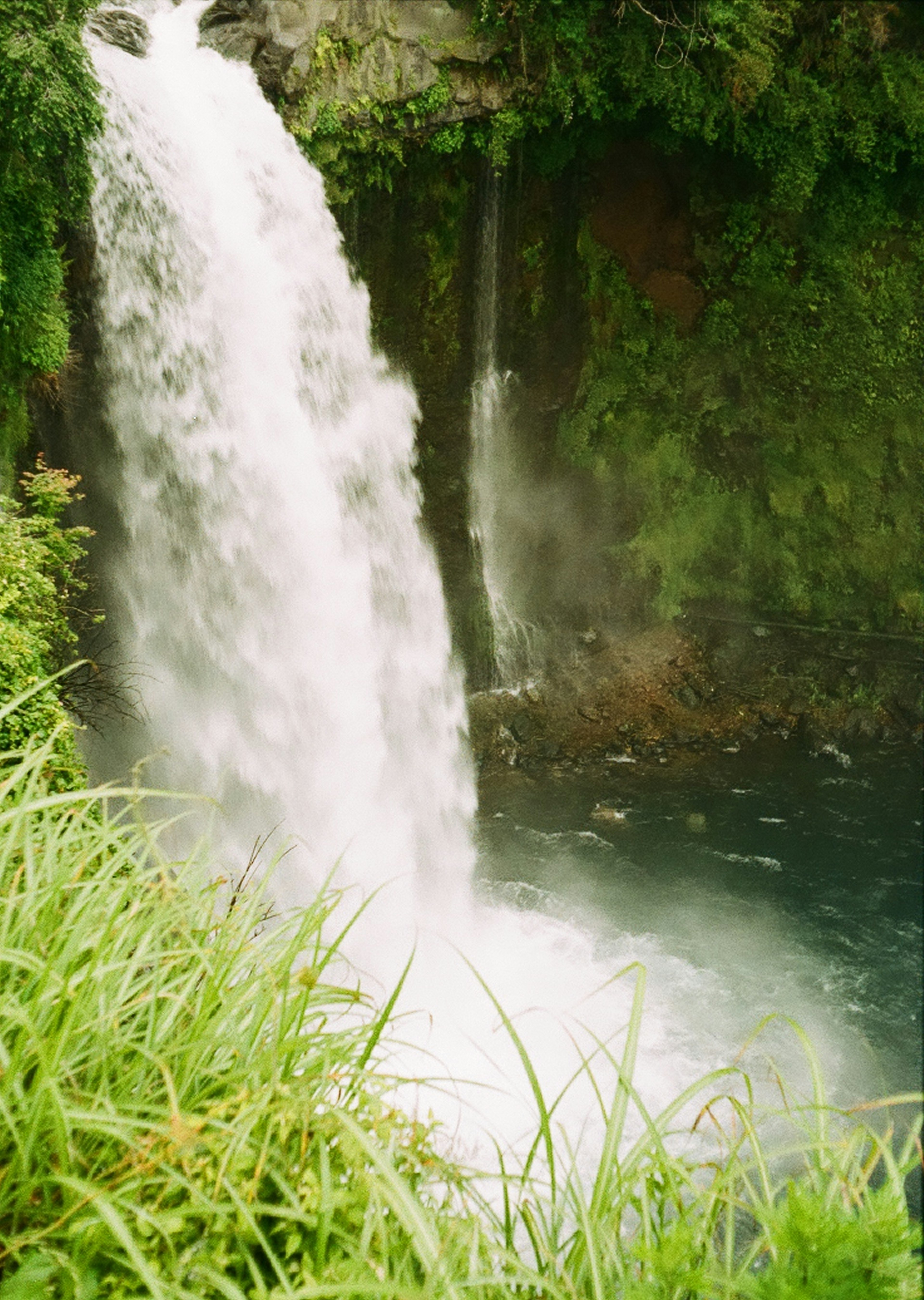 Una hermosa cascada rodeada de hierba verde exuberante y paisajes naturales