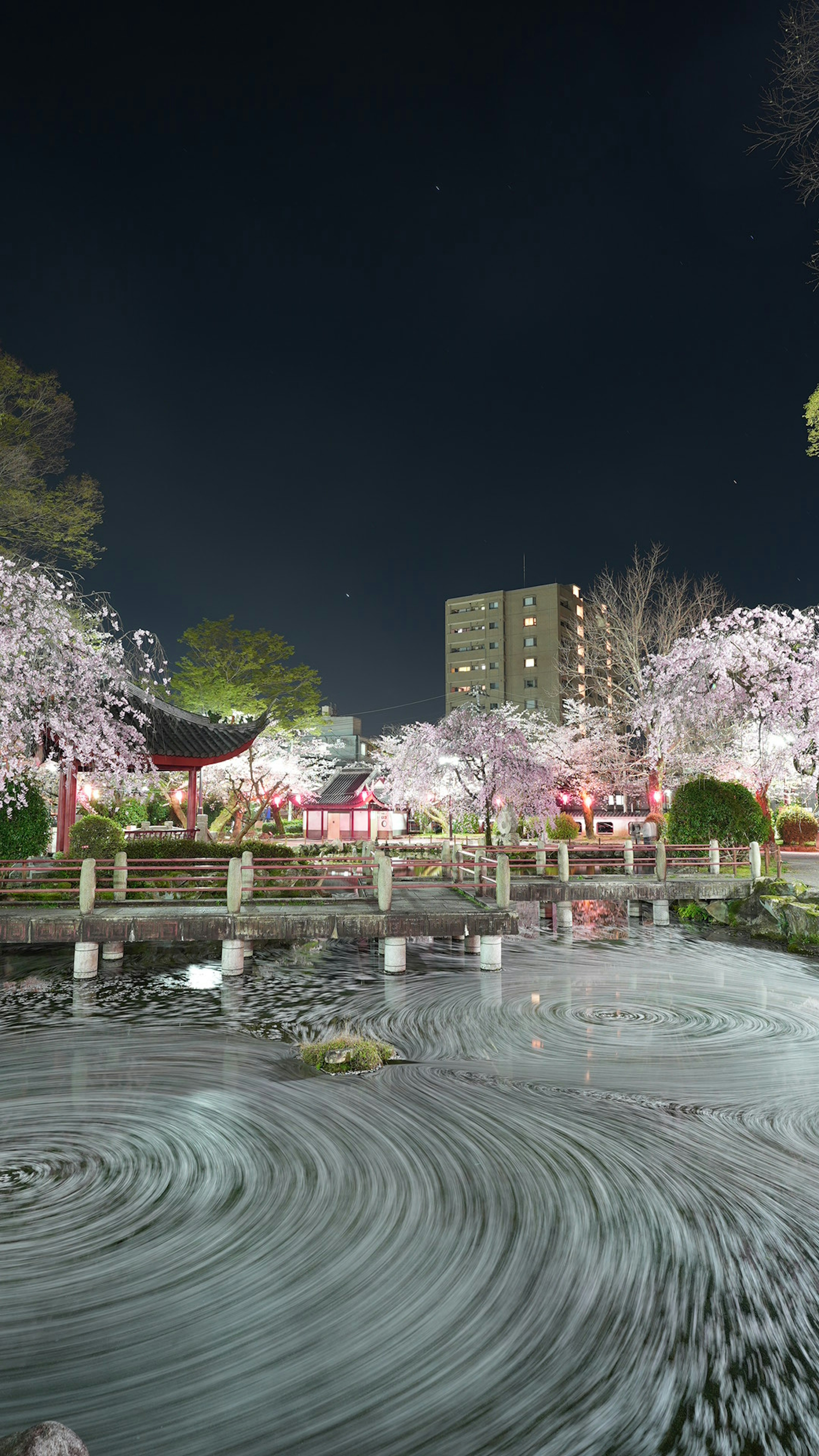 A scenic view of cherry blossoms in a park at night with swirling water