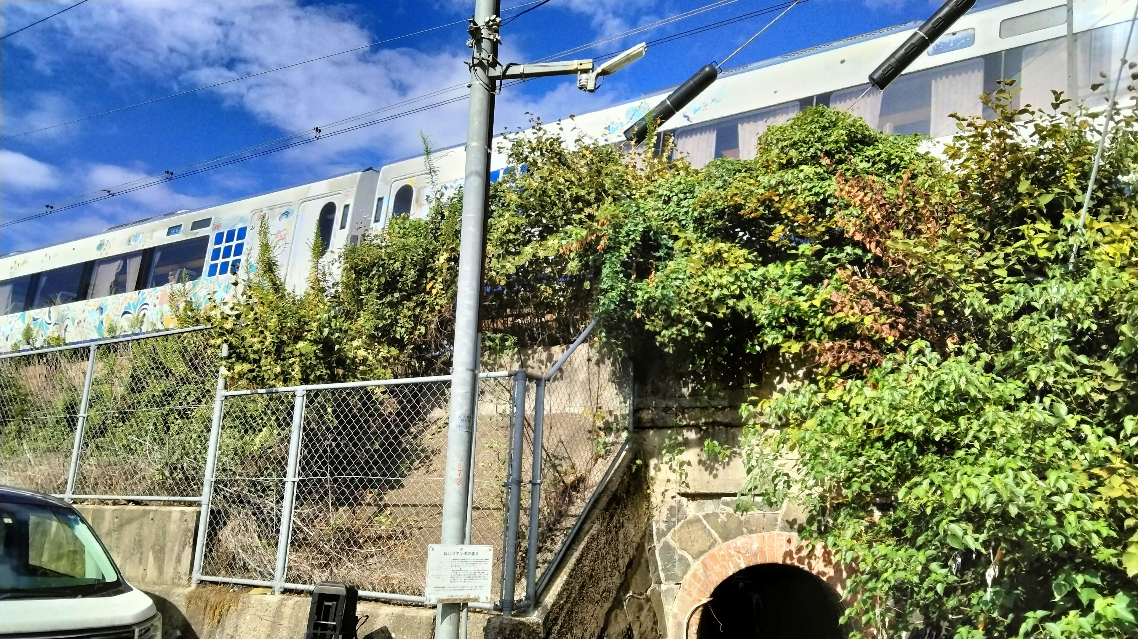 電車が緑に覆われたトンネルの上を走っている風景