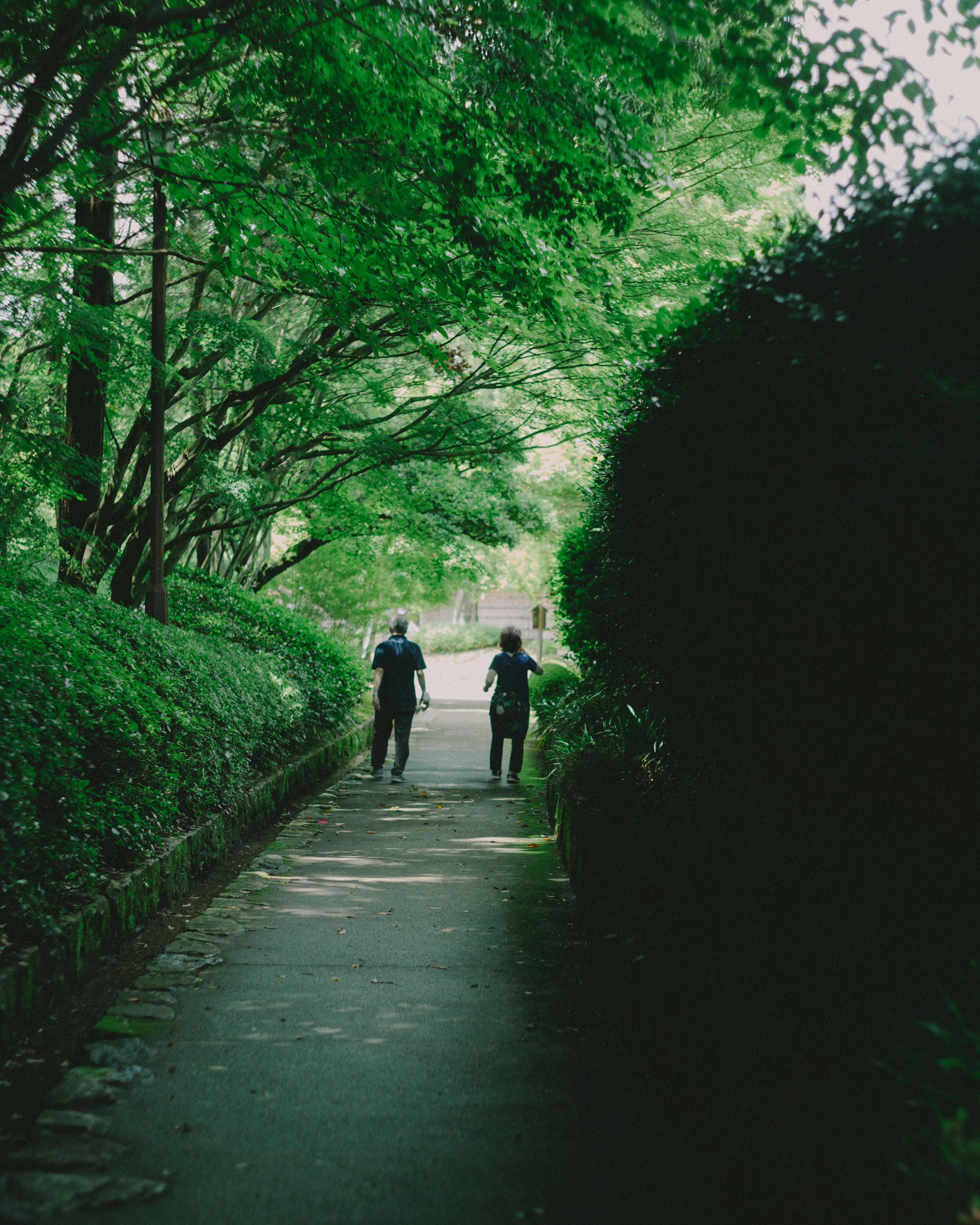 Two people walking on a path surrounded by lush green trees