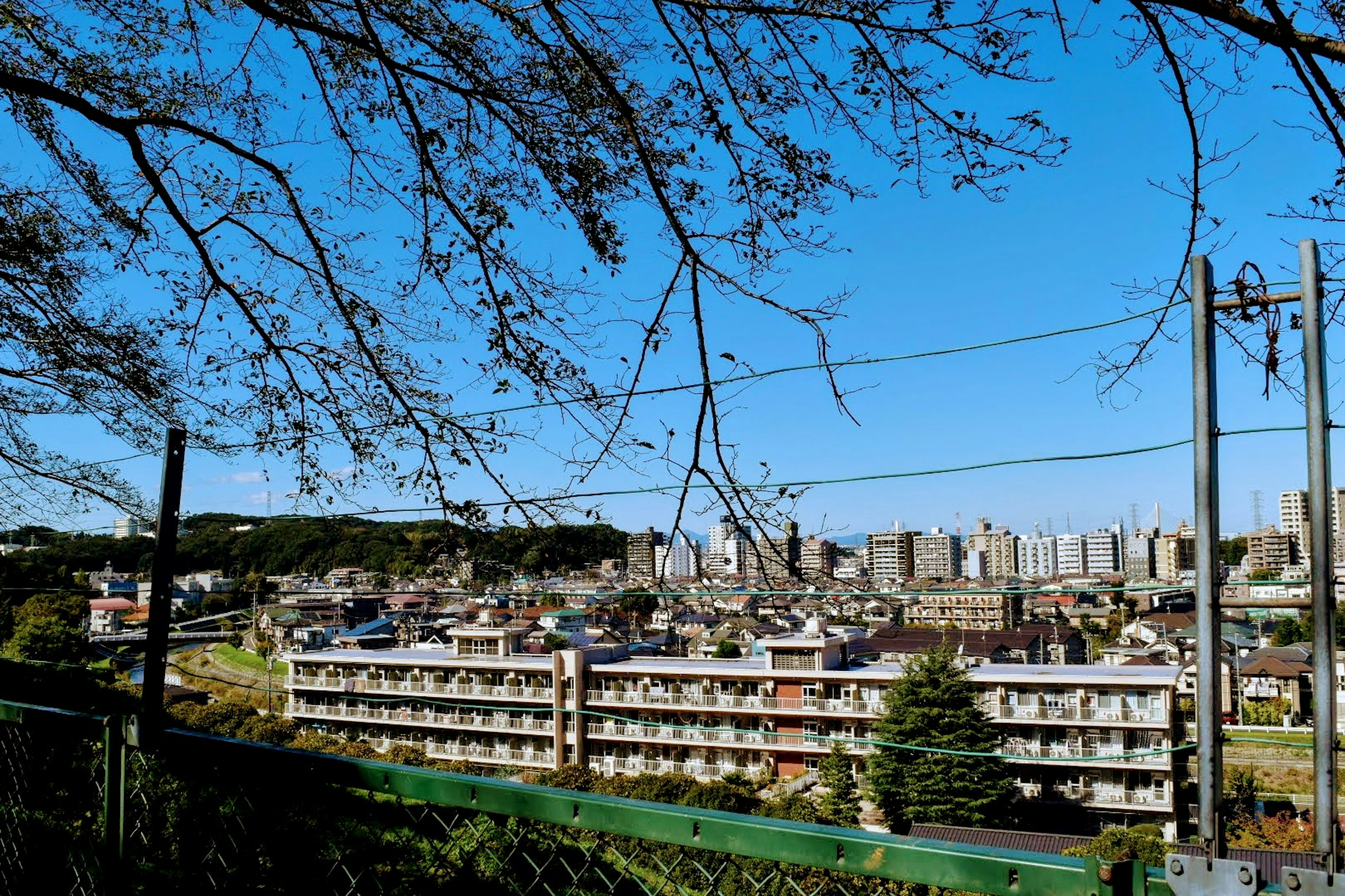 Zona residencial bajo un cielo azul claro con ramas de cerezo