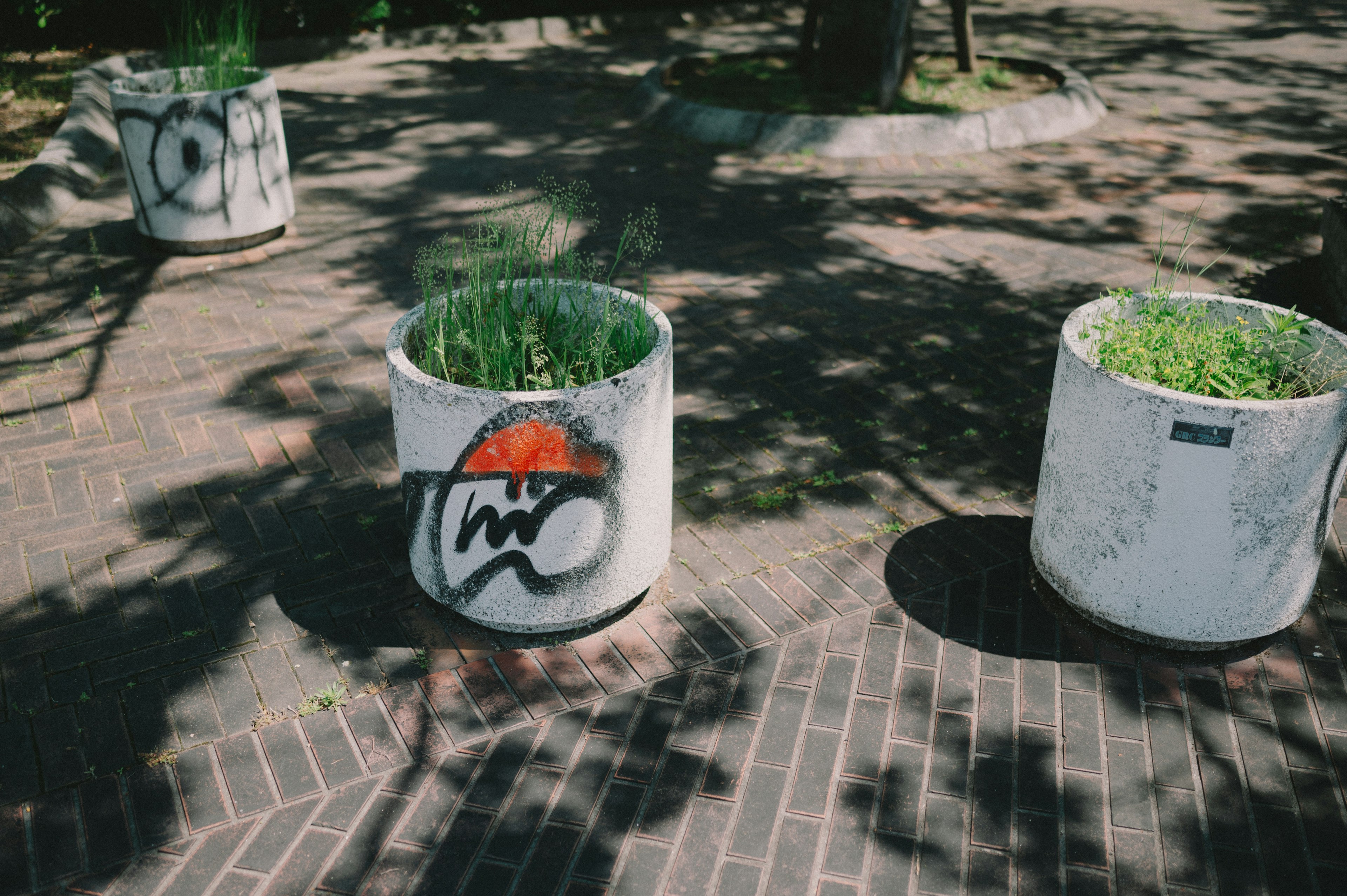 Concrete planters with graffiti and green plants