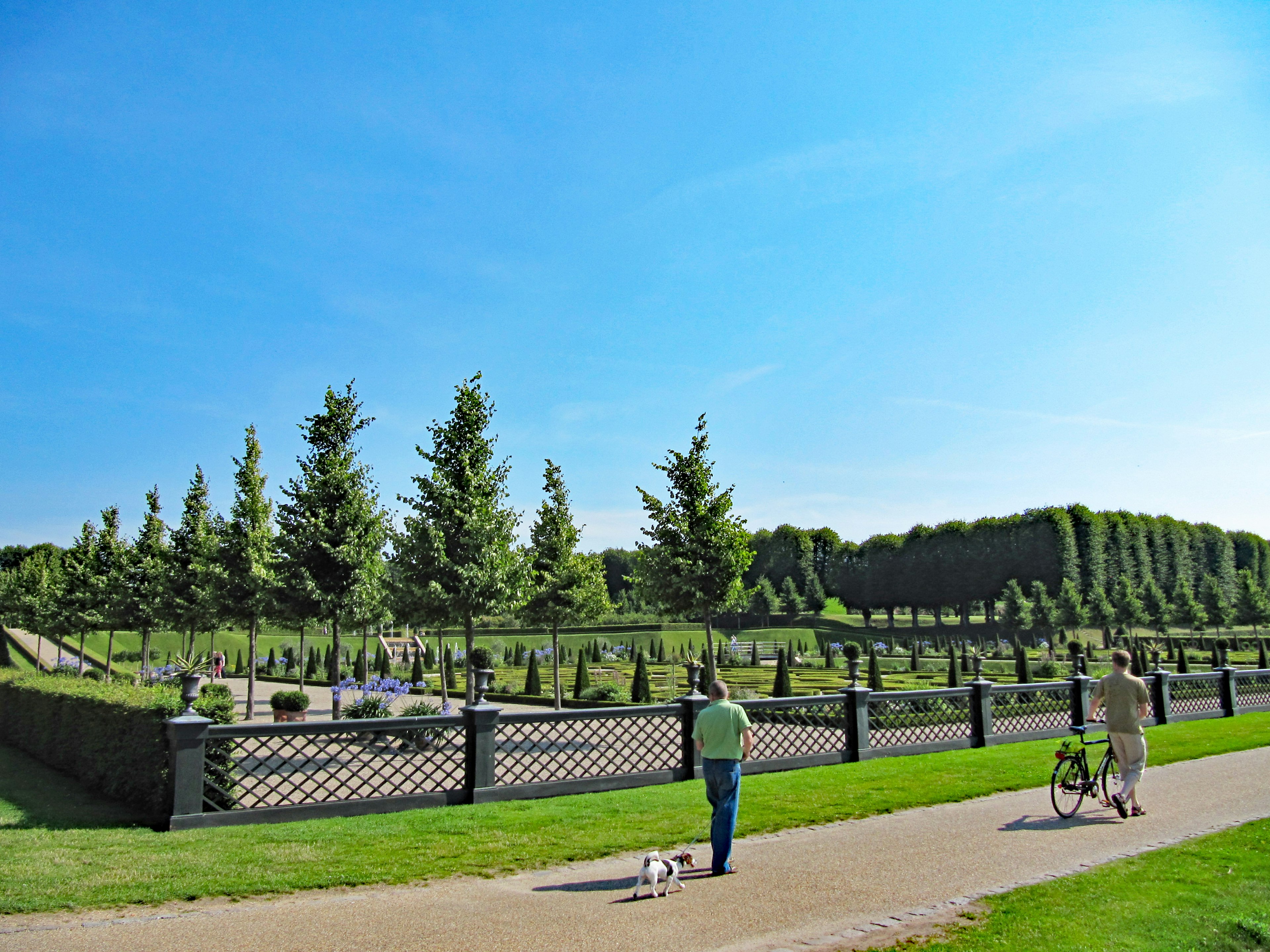 People walking with a dog and a bicycle in a lush park with manicured trees and a clear blue sky