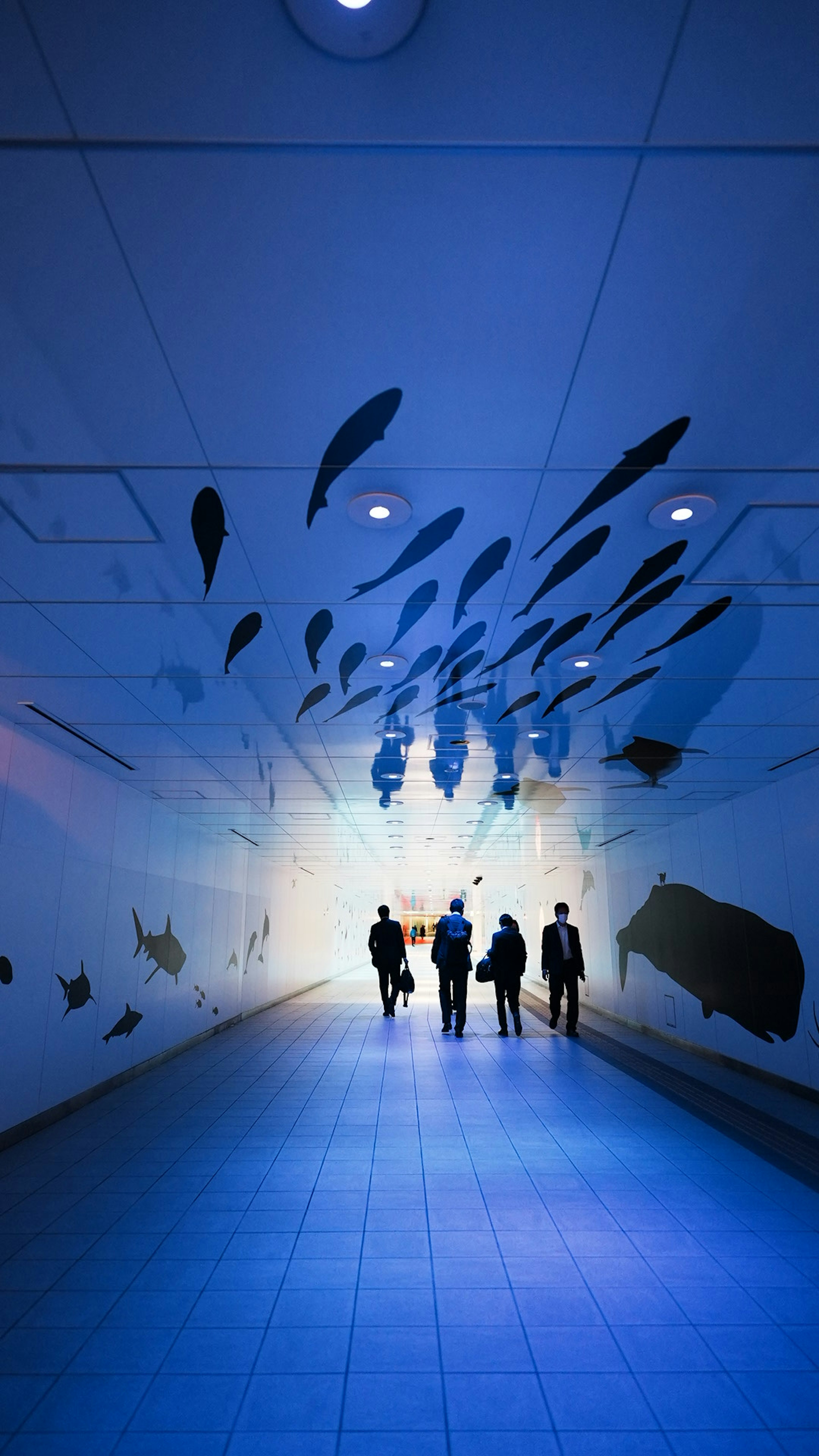 Silhouettes de personnes marchant sous un éclairage bleu dans un tunnel avec de l'art de poisson sur le mur