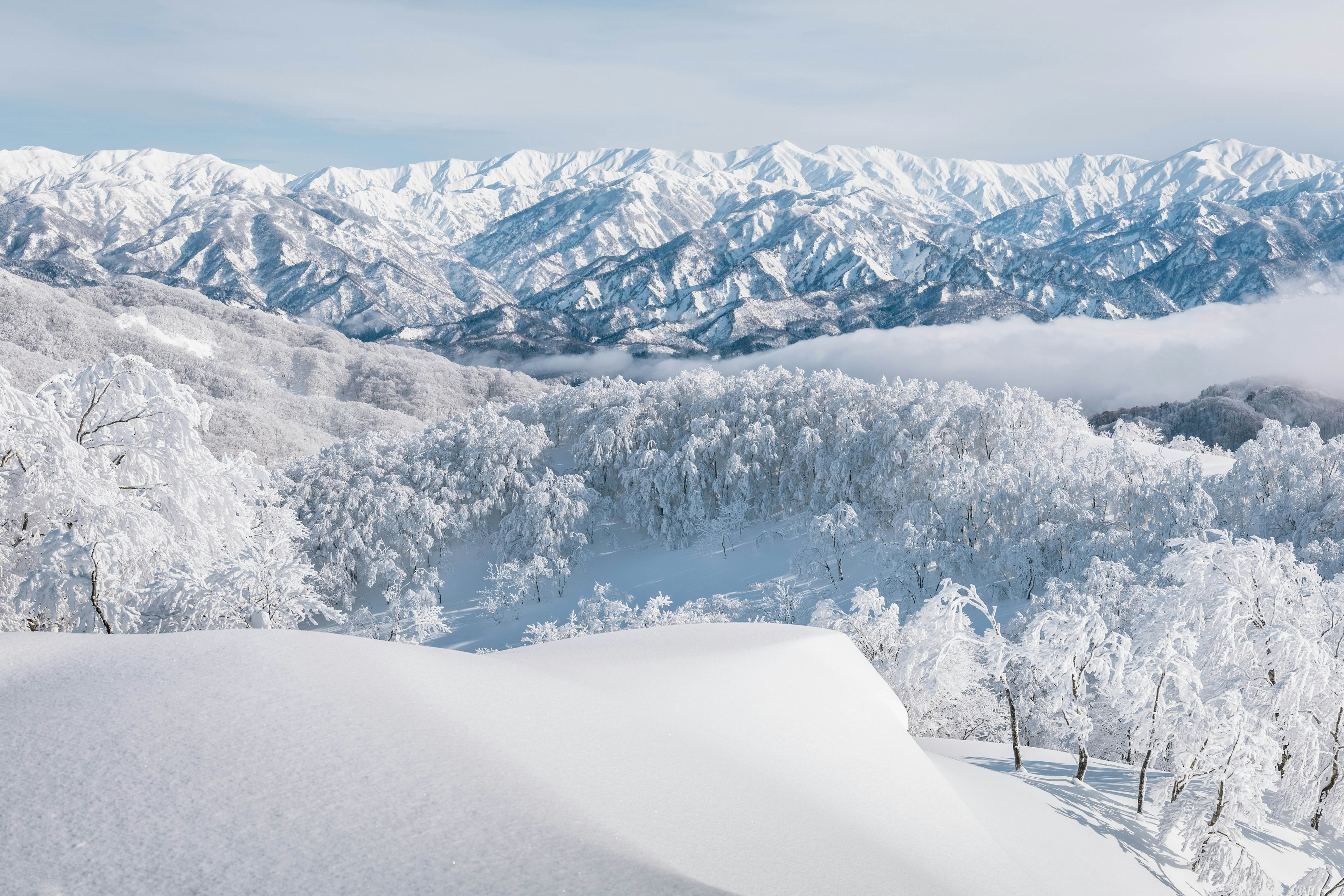 Atemberaubende Aussicht auf schneebedeckte Berge und Bäume