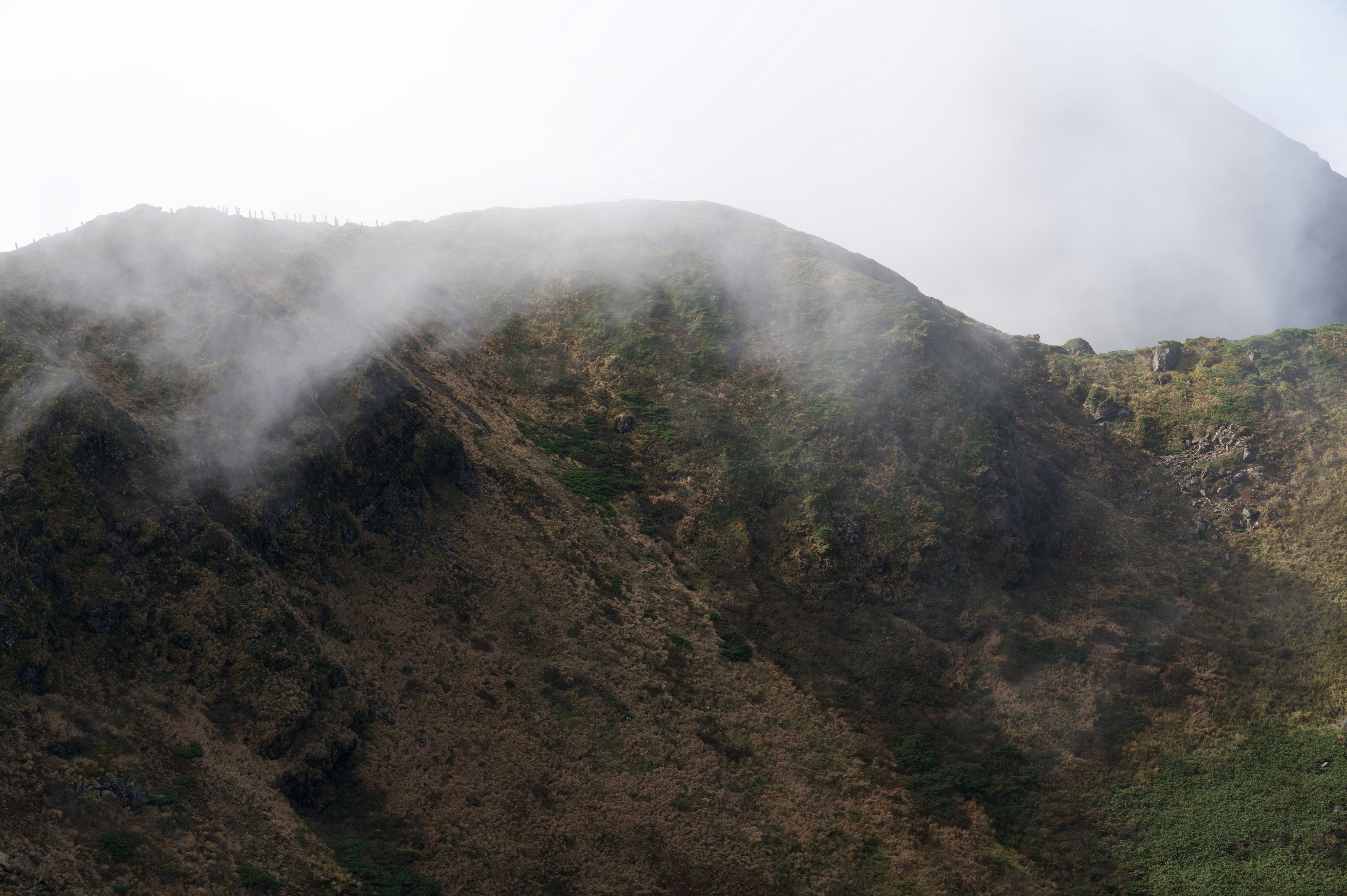 被雾笼罩的山坡上有绿色草地和岩石地形