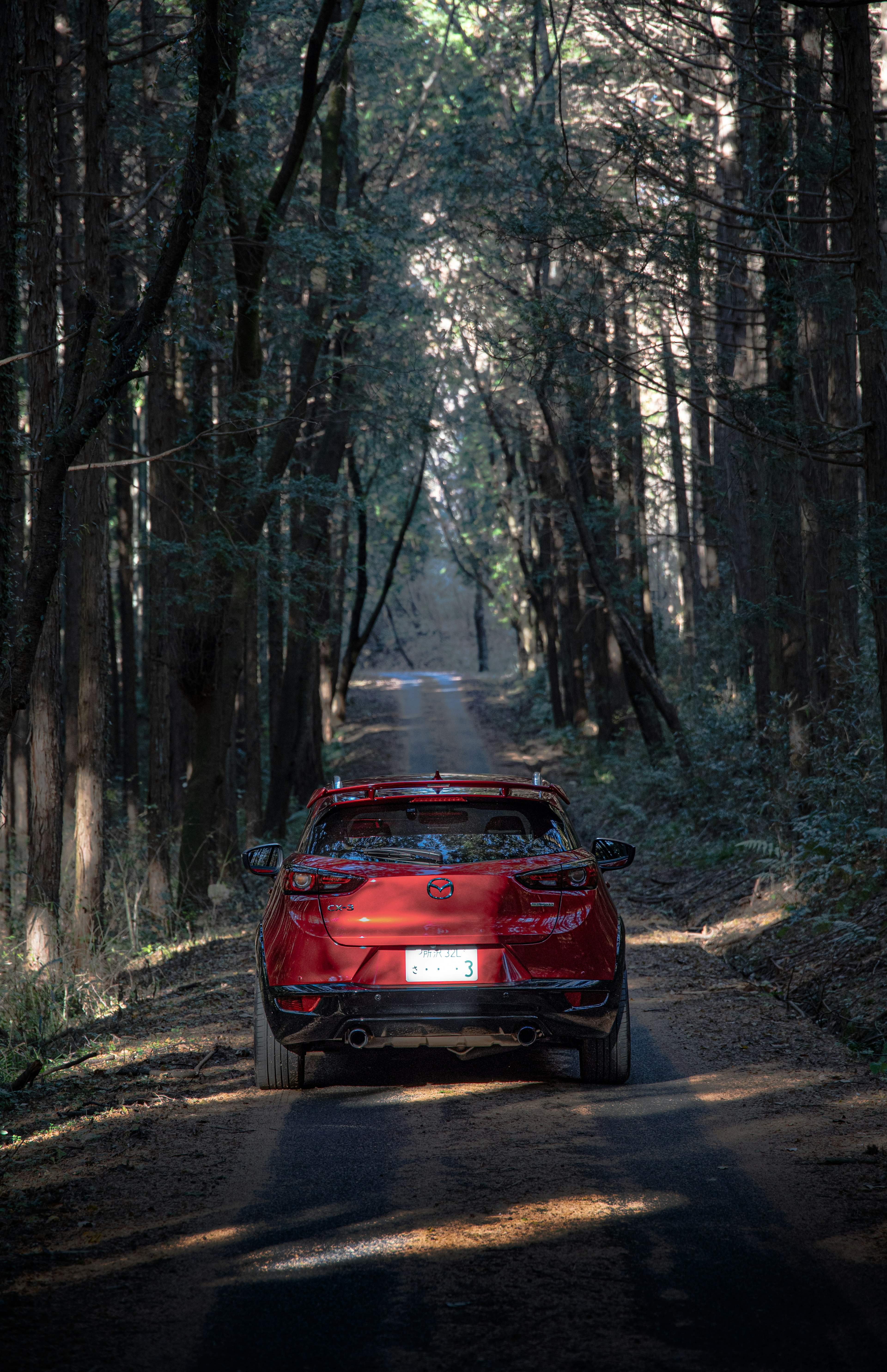 Voiture rouge sur une route de terre en forêt entourée d'arbres