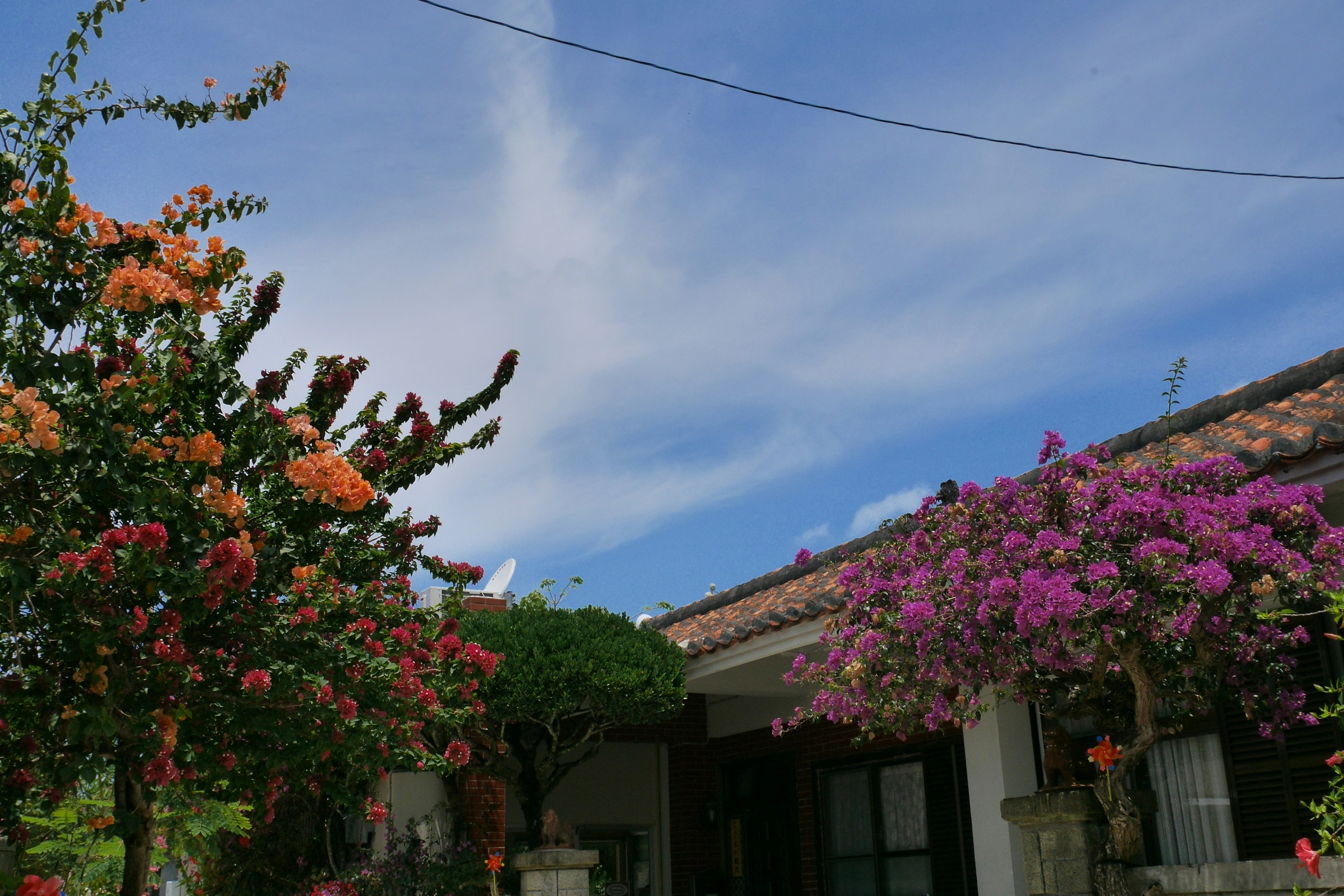 青空と色とりどりの花が咲く庭の景色