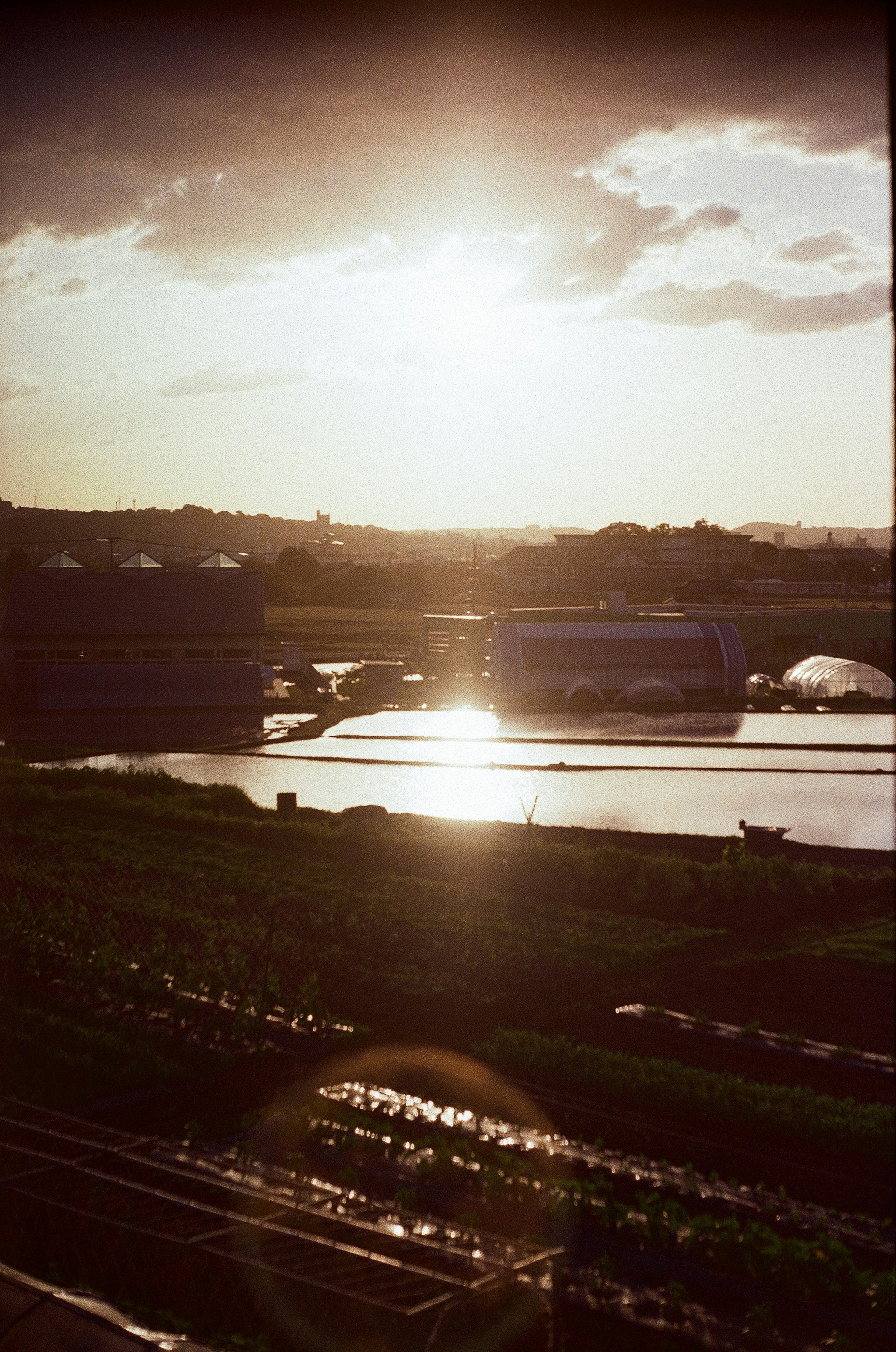 夕日が反射する水面と農場の風景