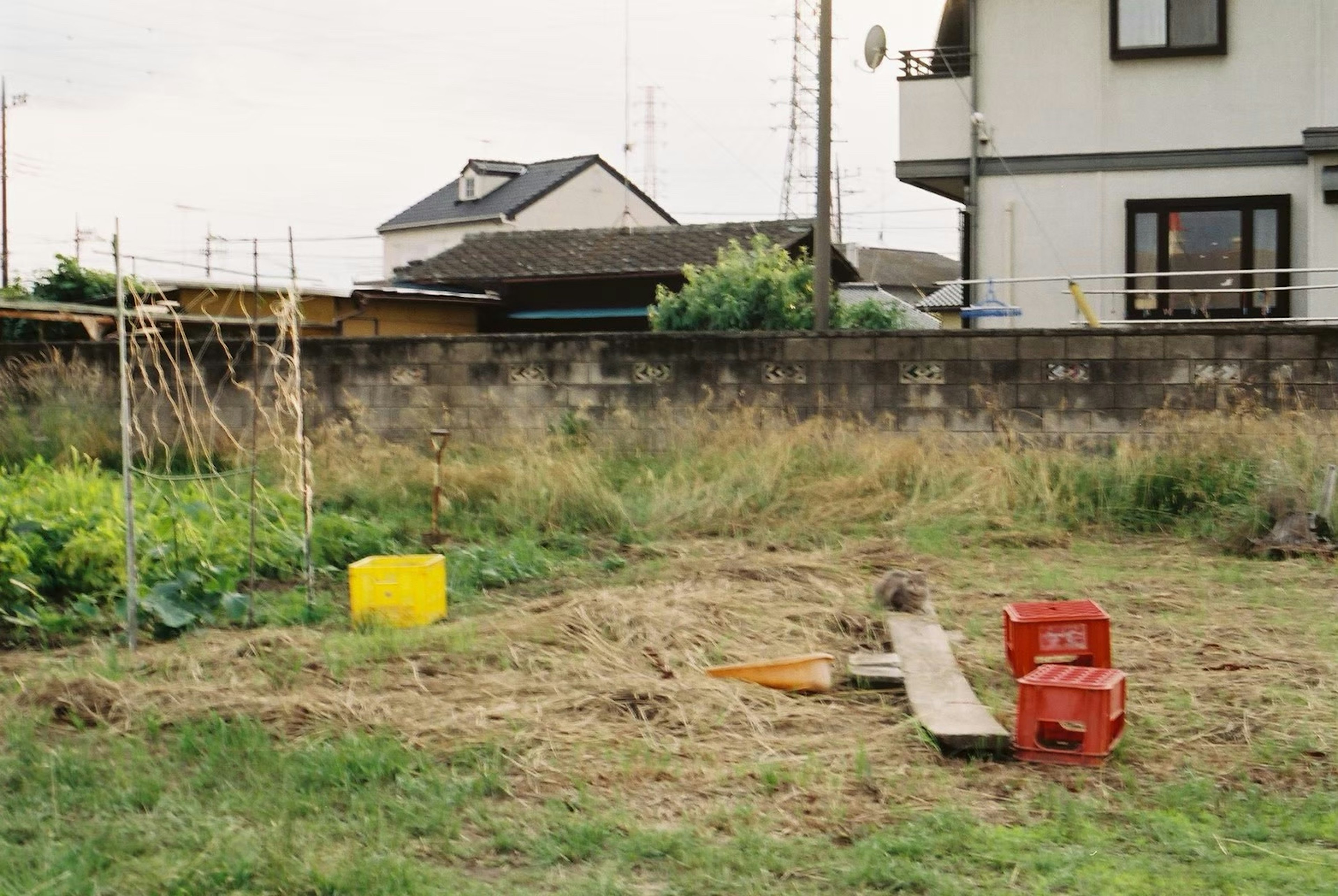 Ein leerer Platz mit Gras und Holzkisten