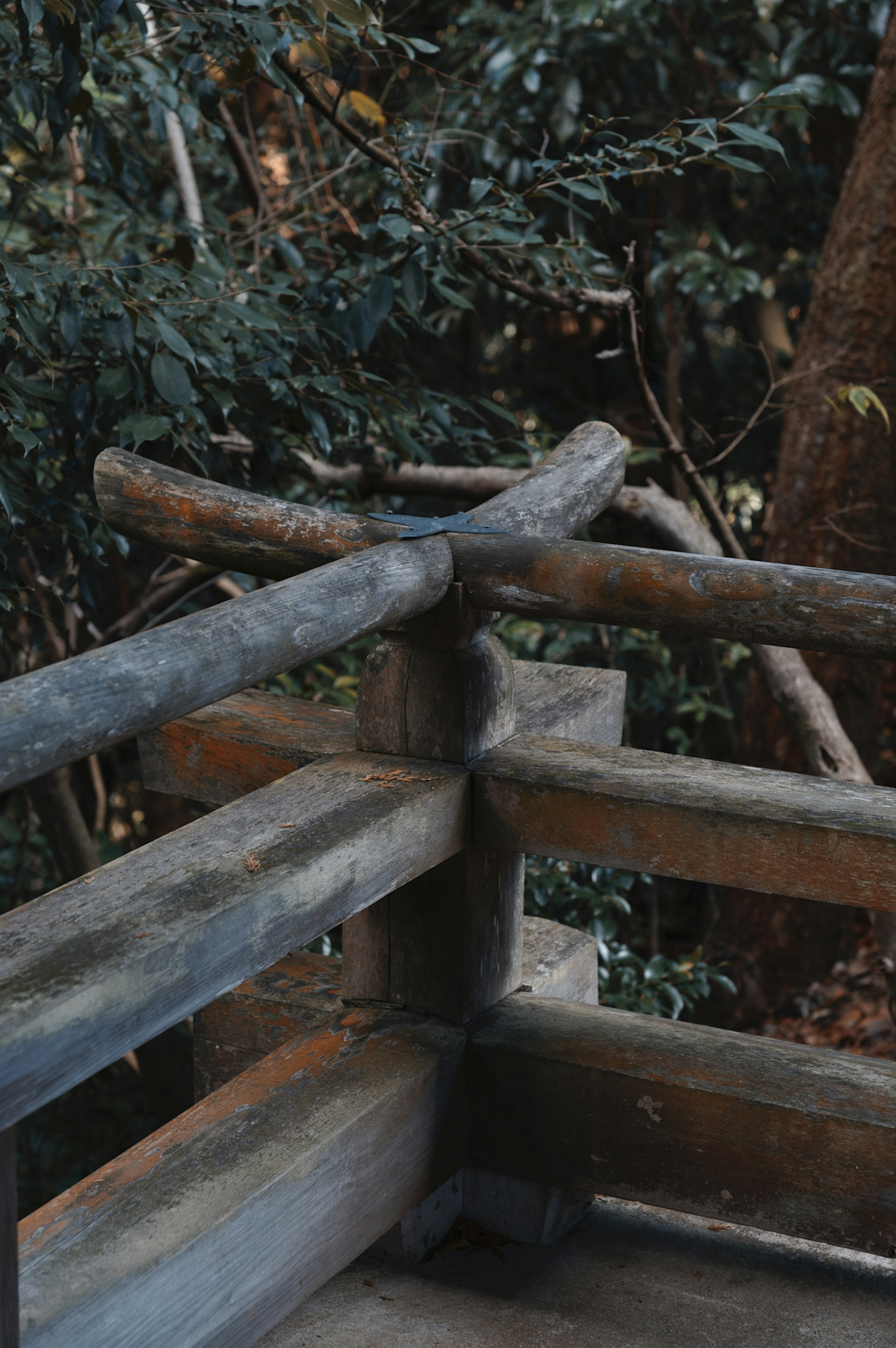 Railing in legno che si incrocia circondato da alberi verdi