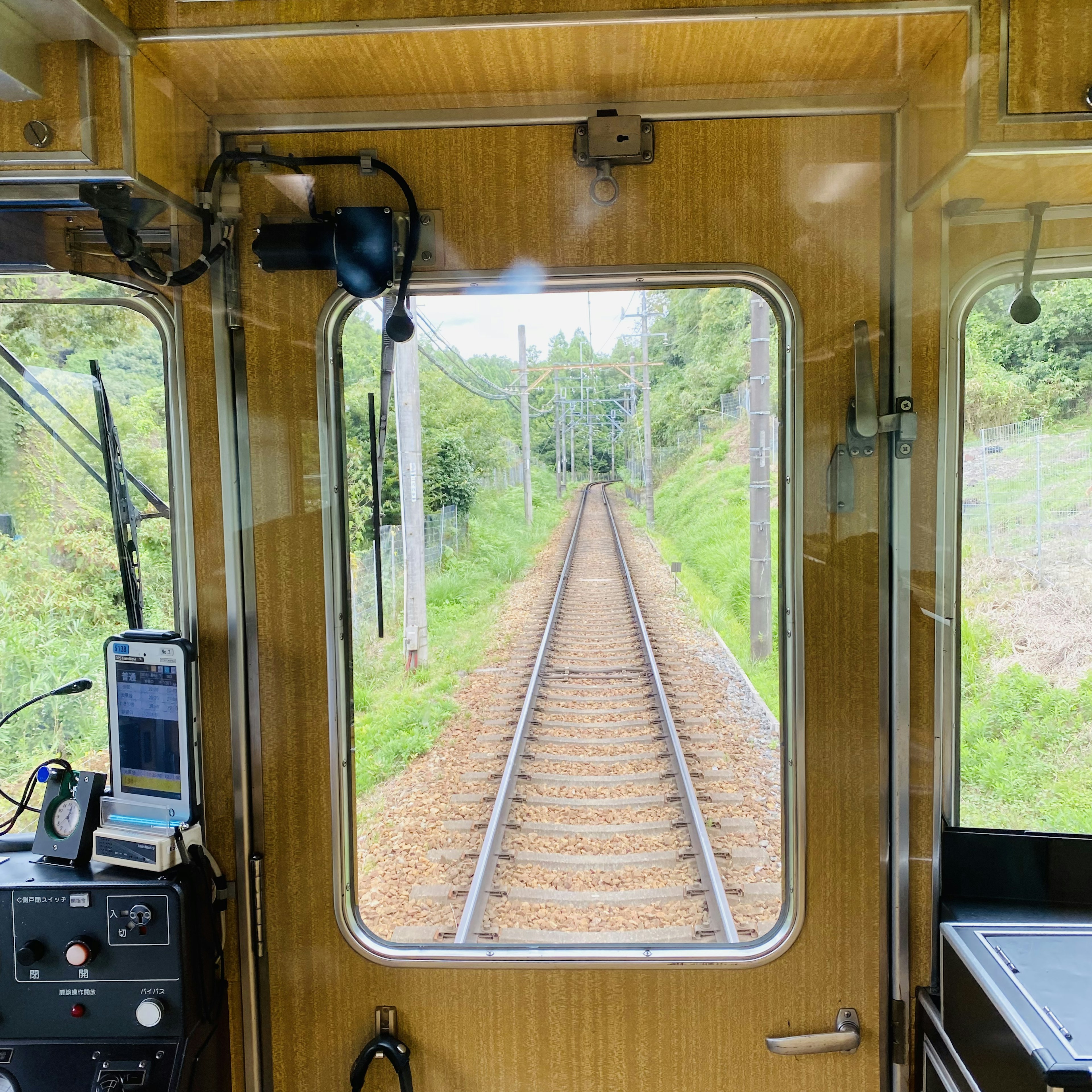 Blick auf die Bahngleise aus einer Zugkabine mit üppiger Vegetation