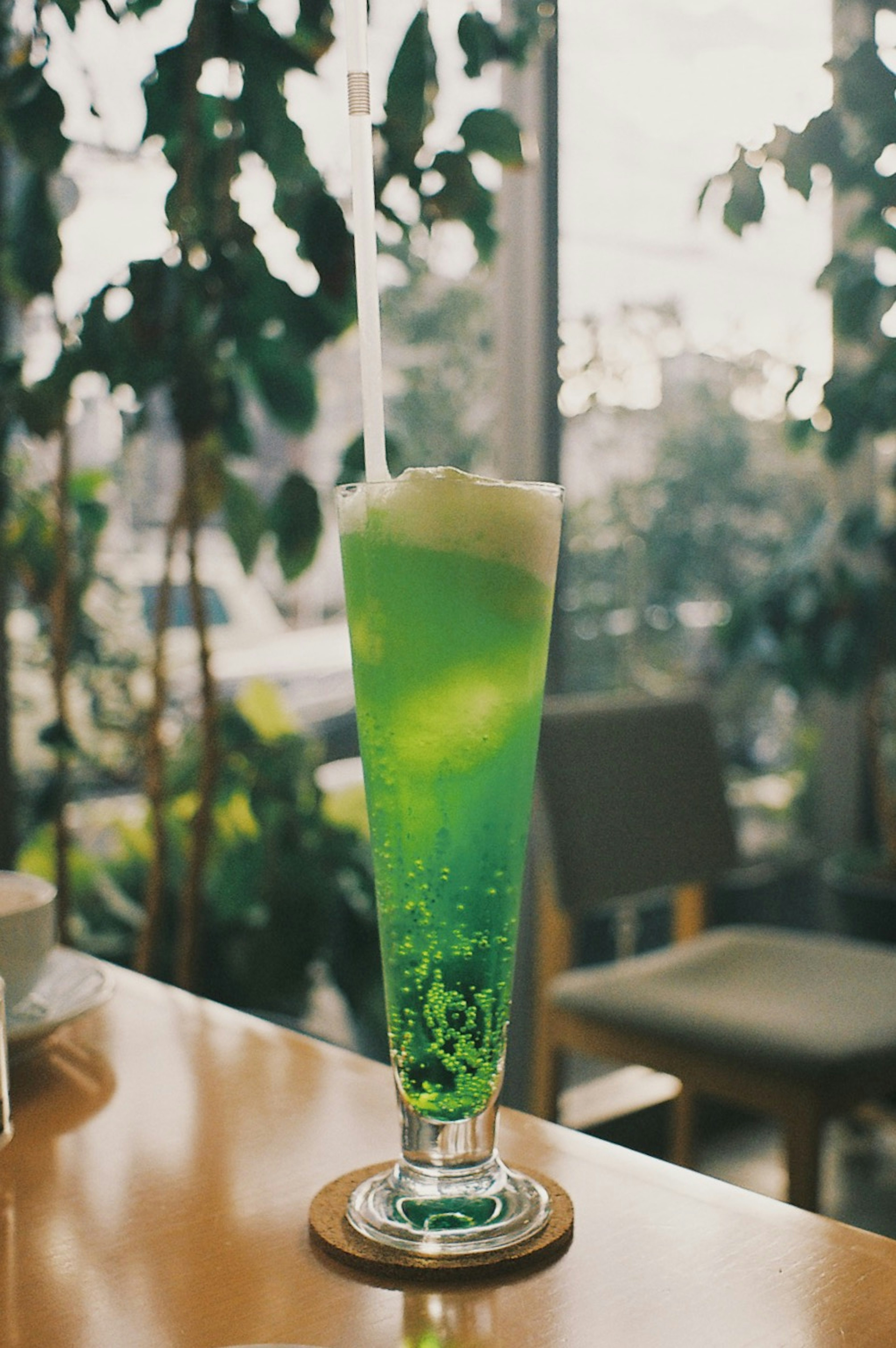 Tall glass of green fizzy drink with foam surrounded by plants