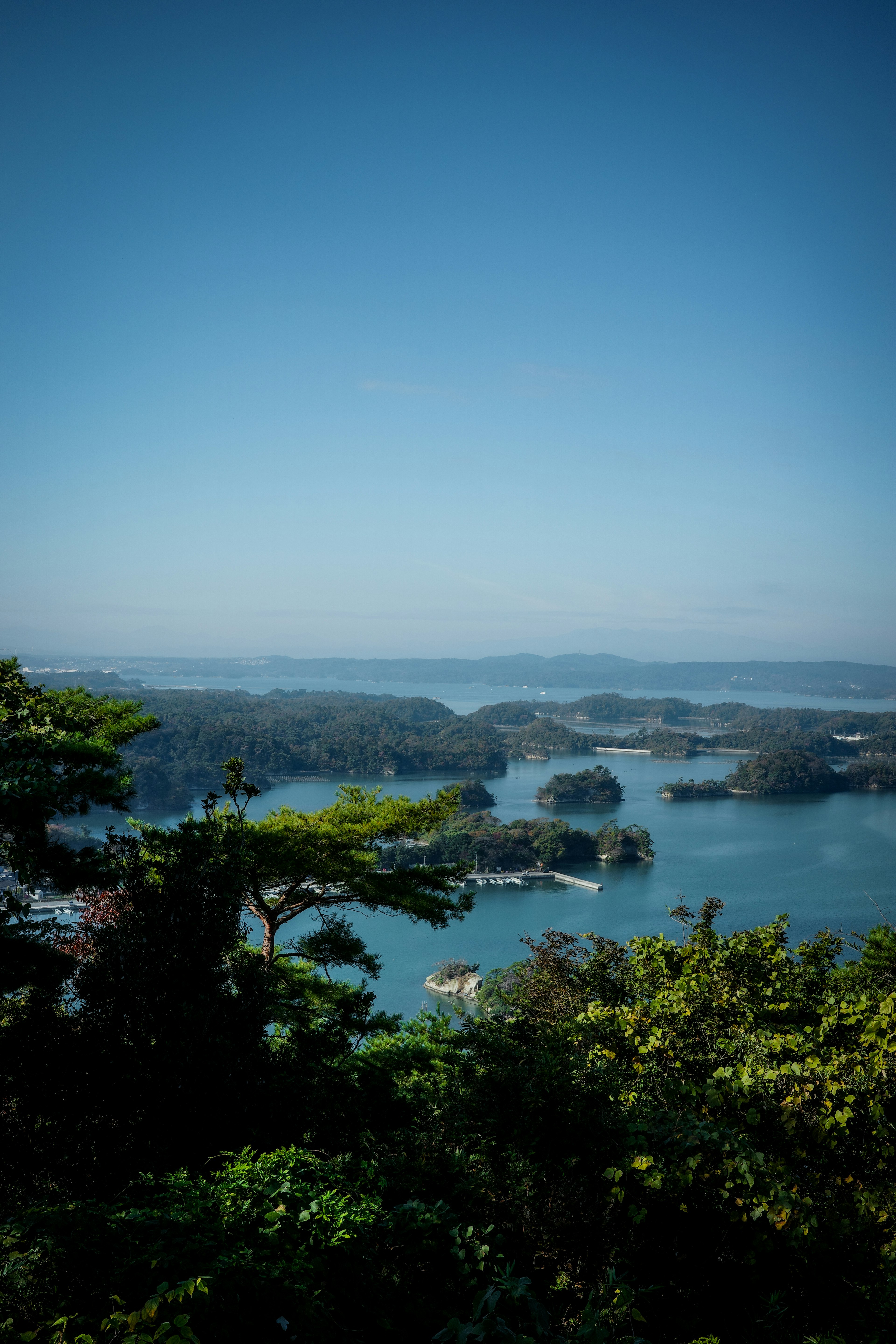 青い海と緑の木々が見える風景