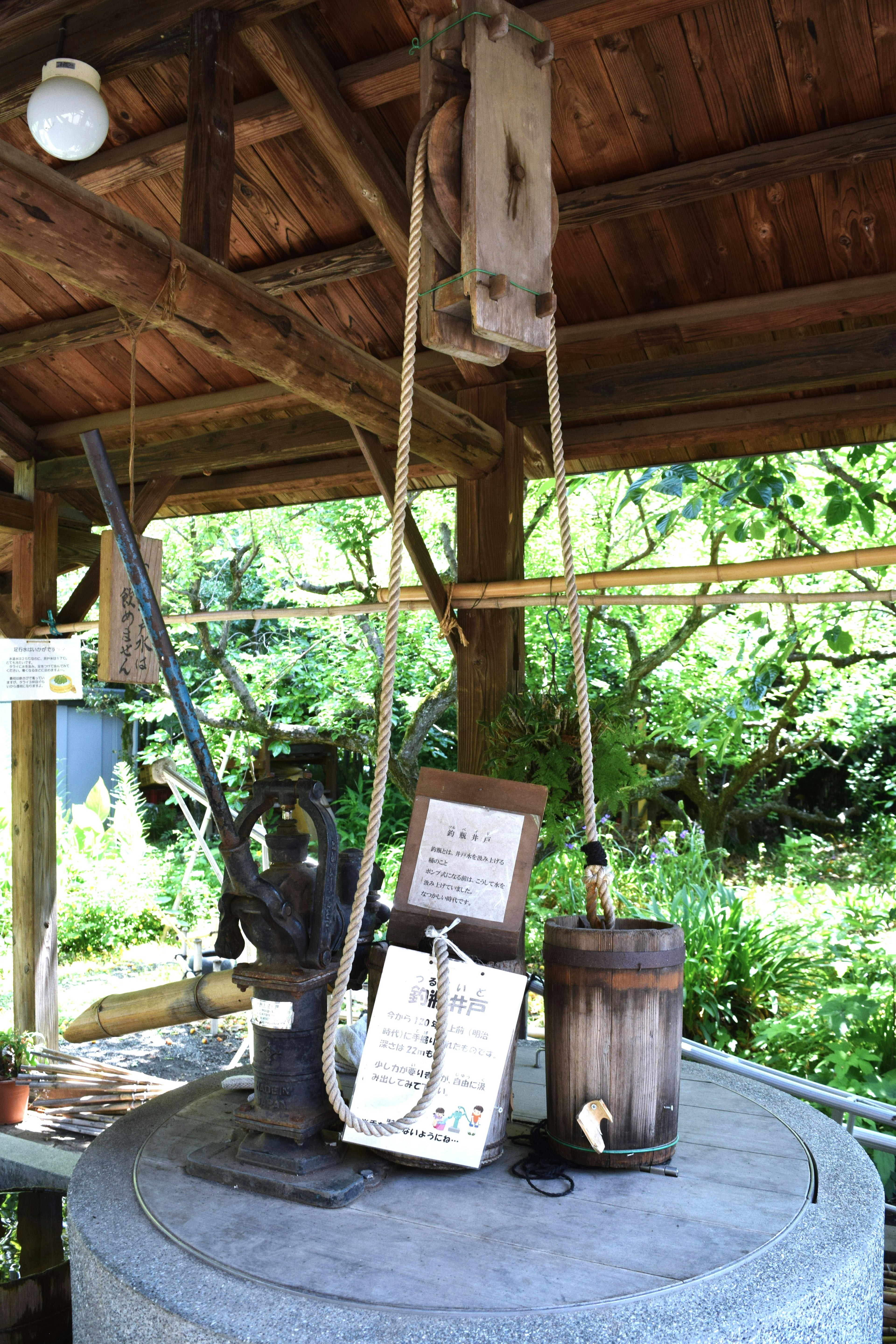 Traditional well pump with wooden bucket in a natural setting