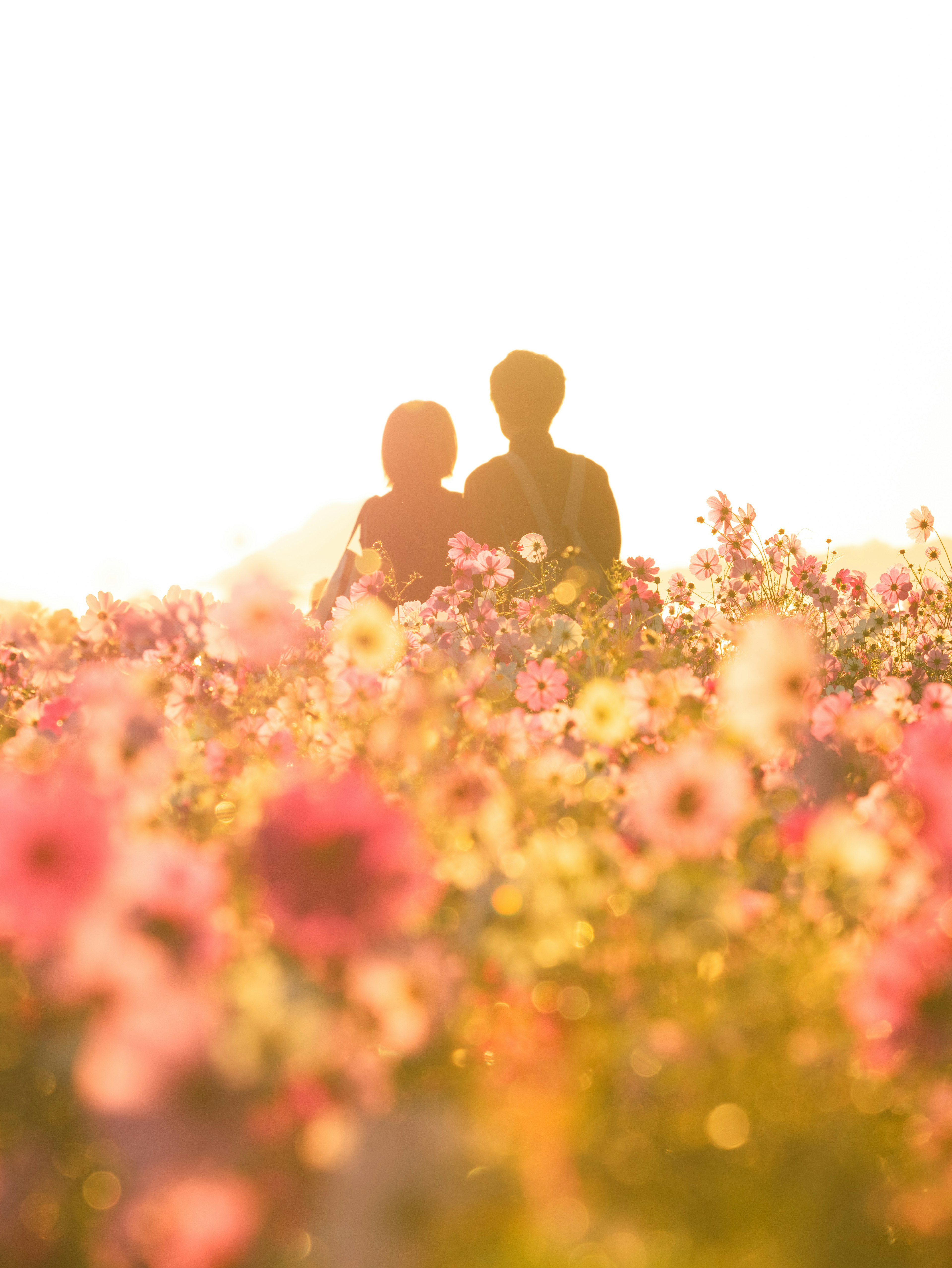 夕日を背景に立つカップルと色とりどりの花々の風景