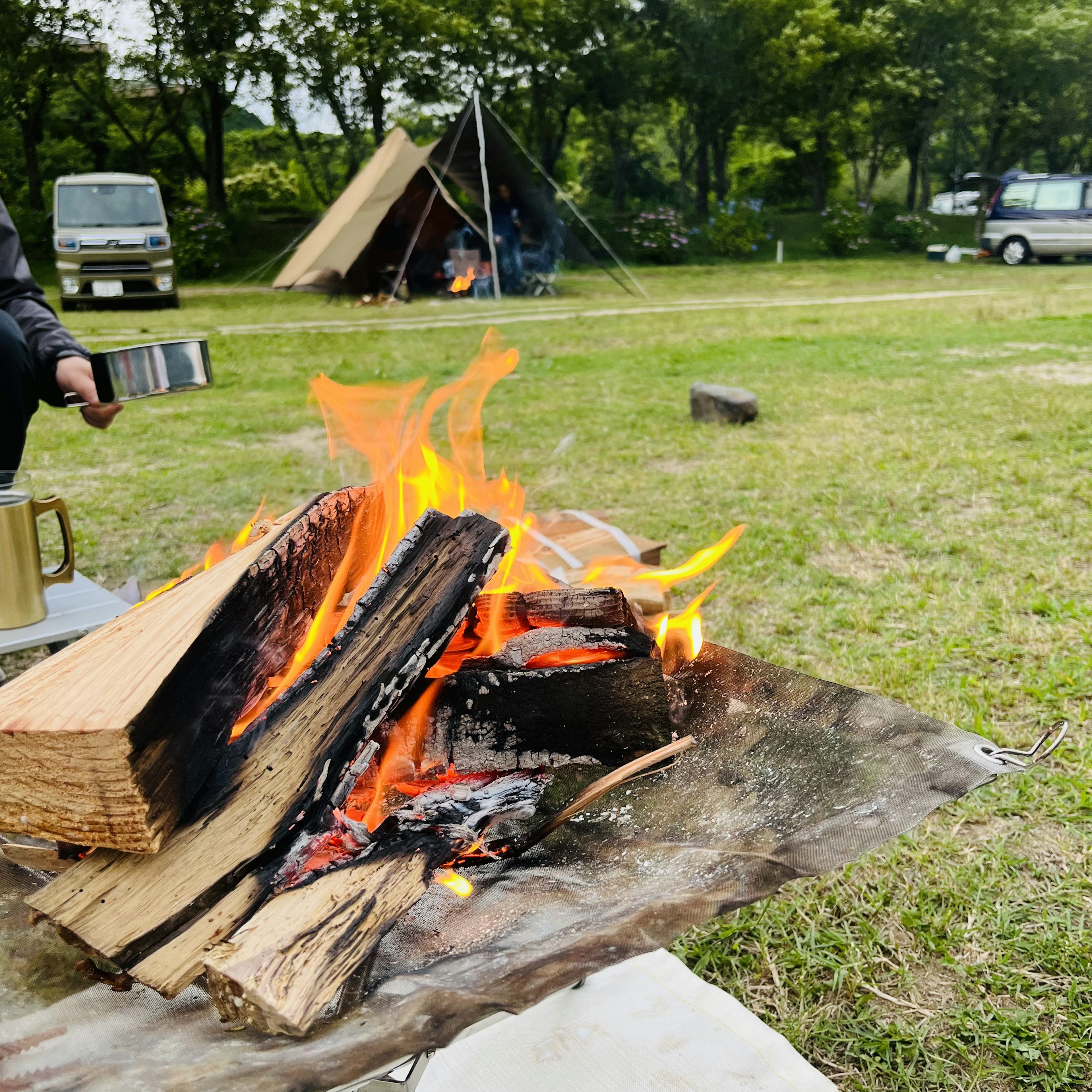 A camper's hand near a campfire with burning logs in a green campsite