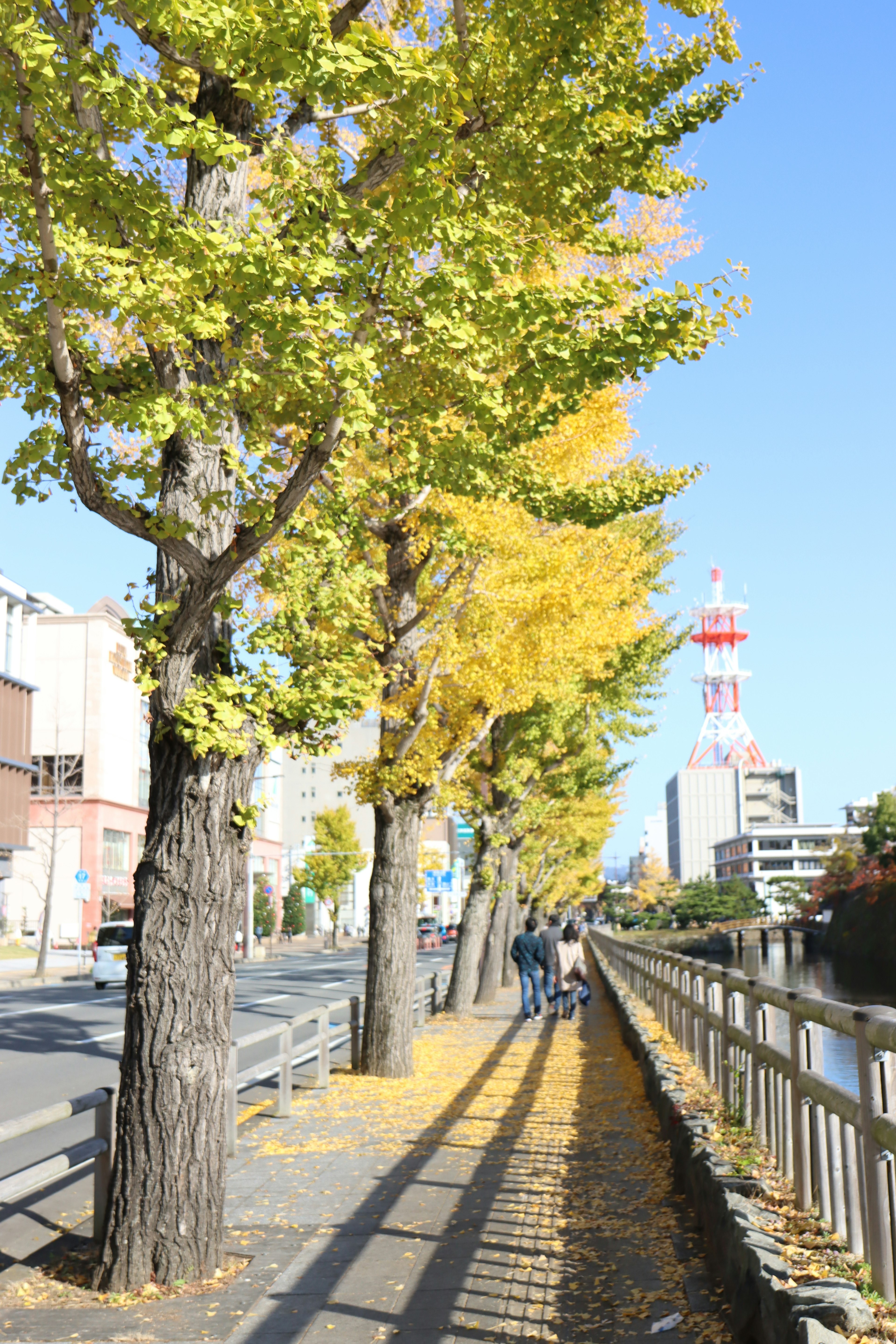 Chemin bordé d'arbres avec des feuilles jaunes et une tour rouge en arrière-plan