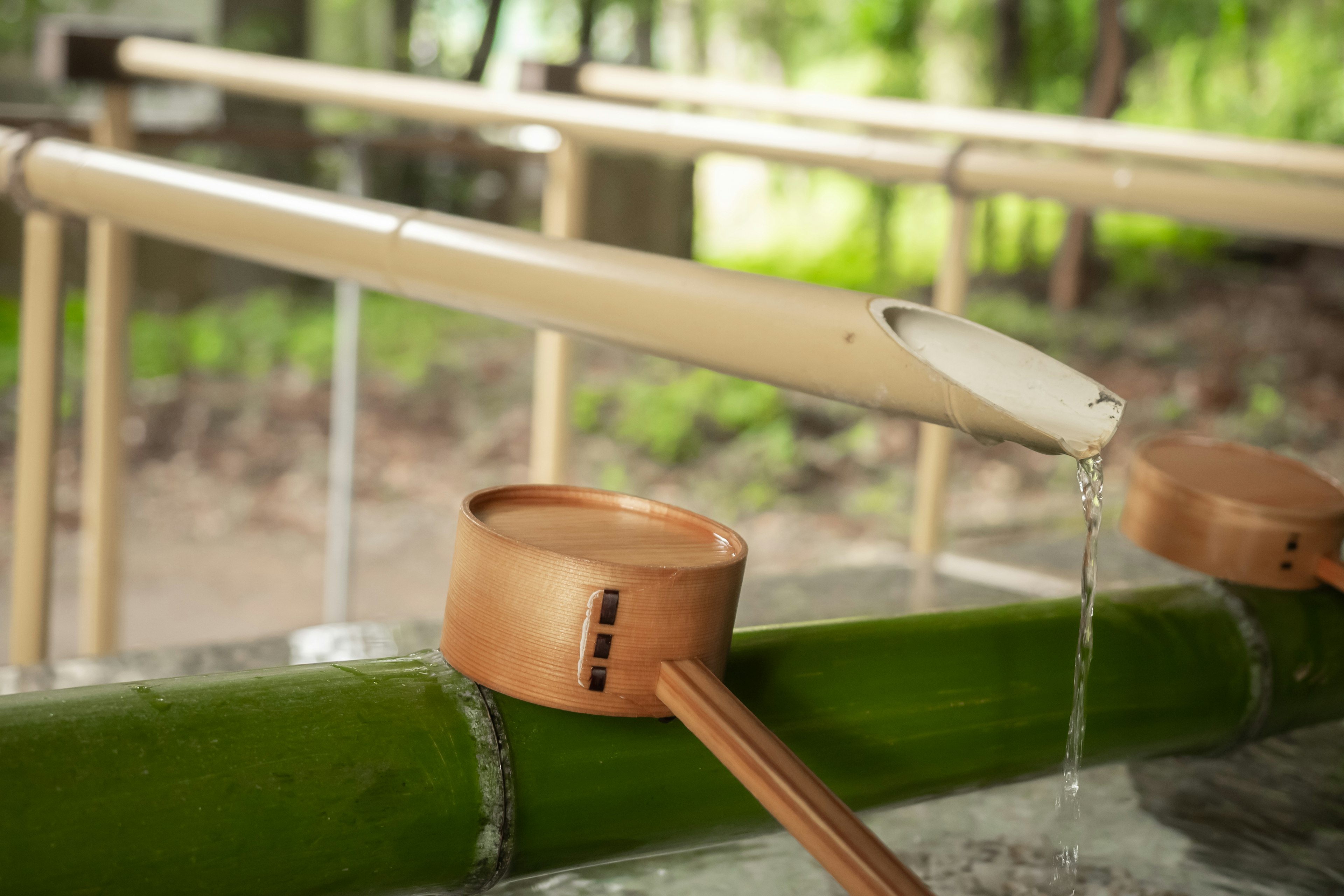 Canal de agua de bambú con agua fluyendo en un sereno jardín japonés