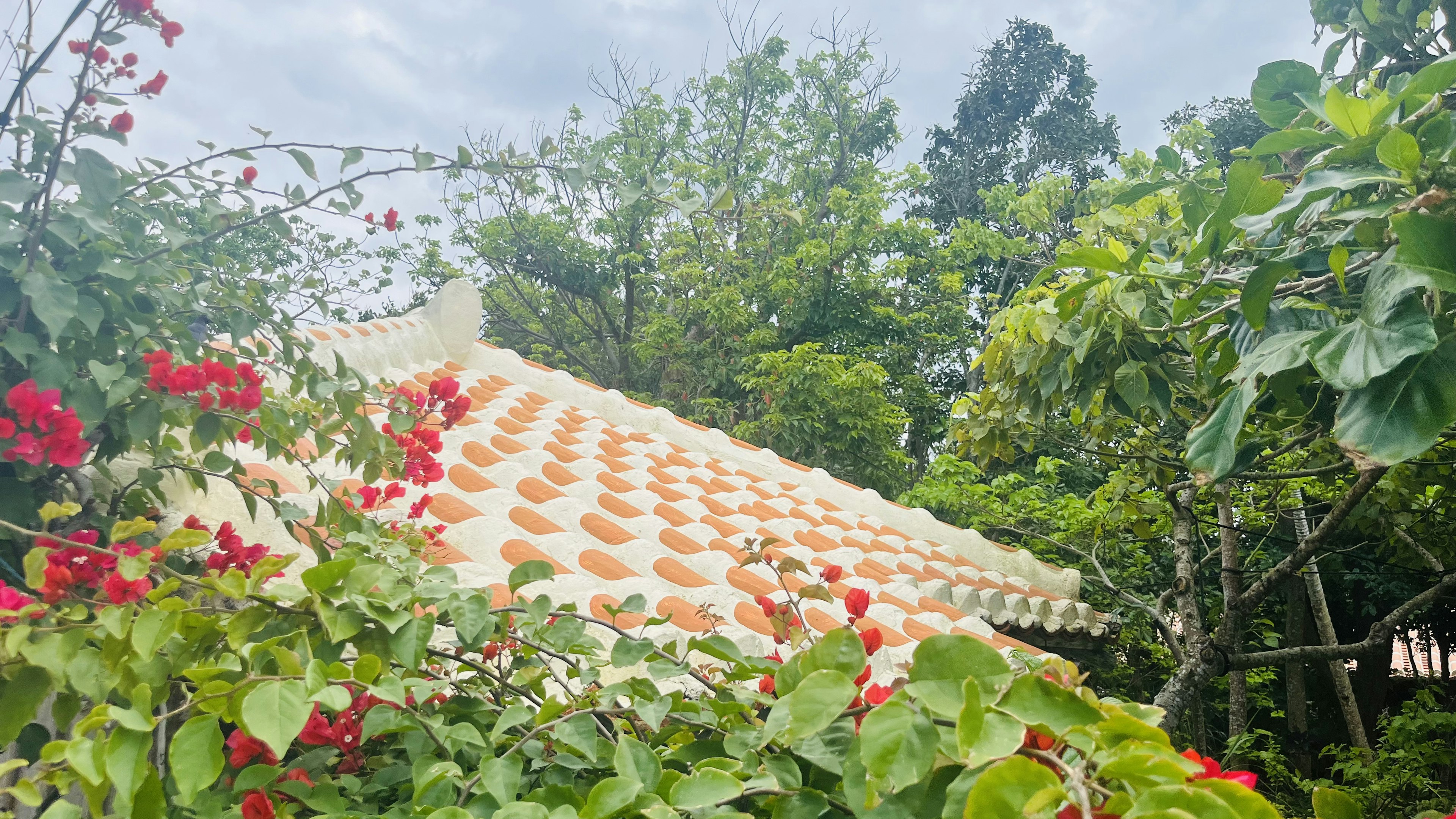 Casa con tetto arancione circondata da fiori rossi e fogliame verde